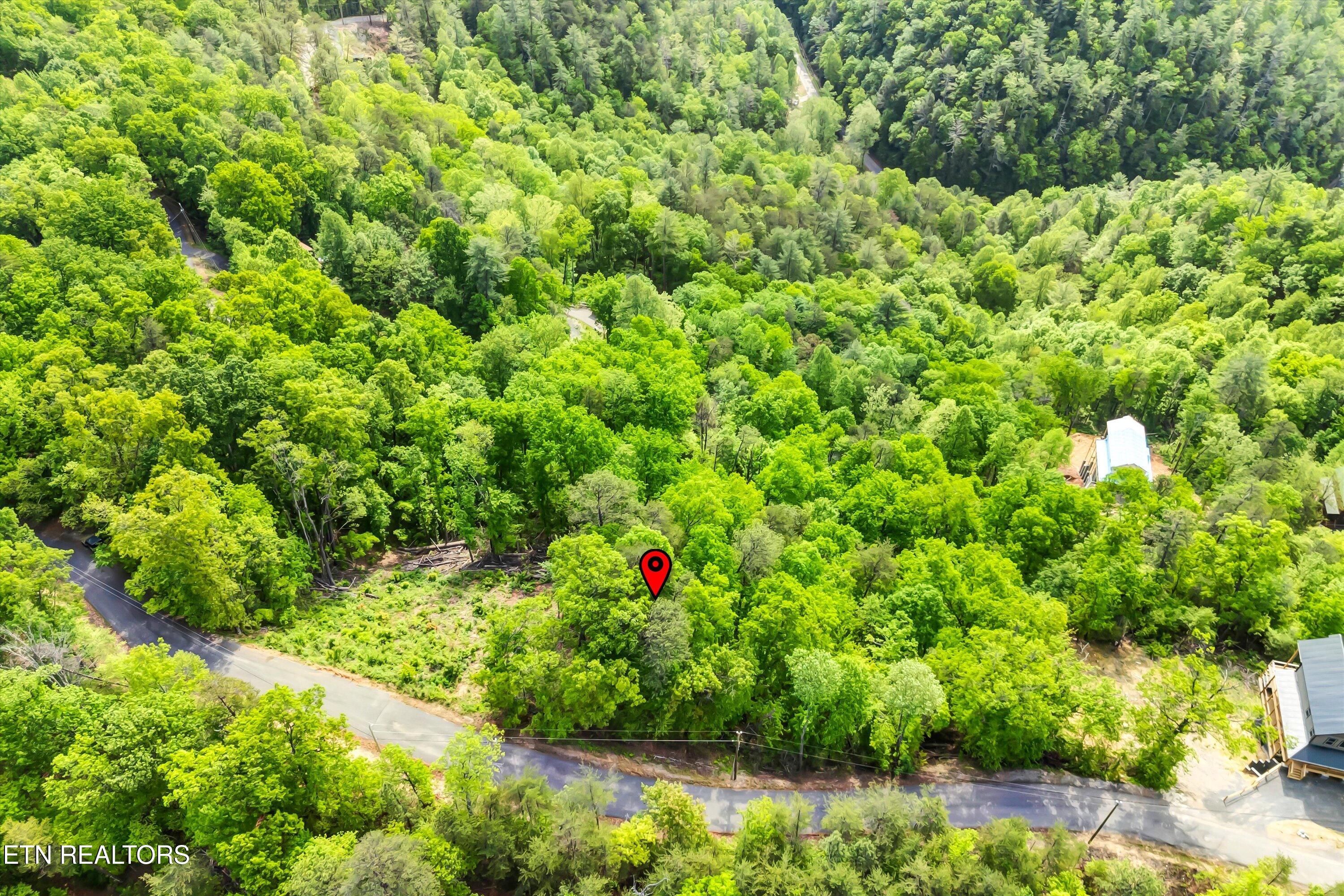 Lot 1 Hatcher Top Rd Property Photo 5