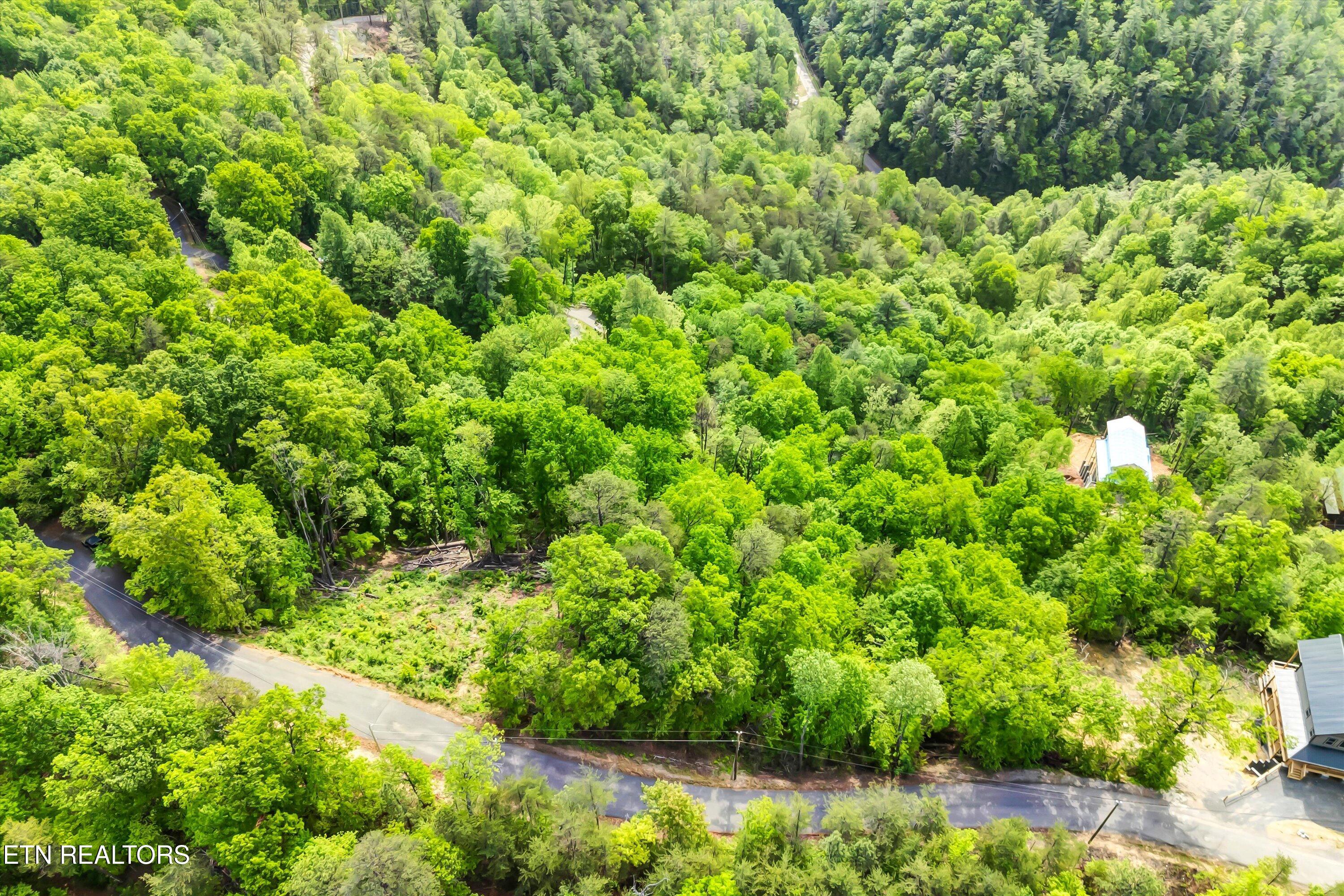 Lot 1 Hatcher Top Rd Property Photo 6