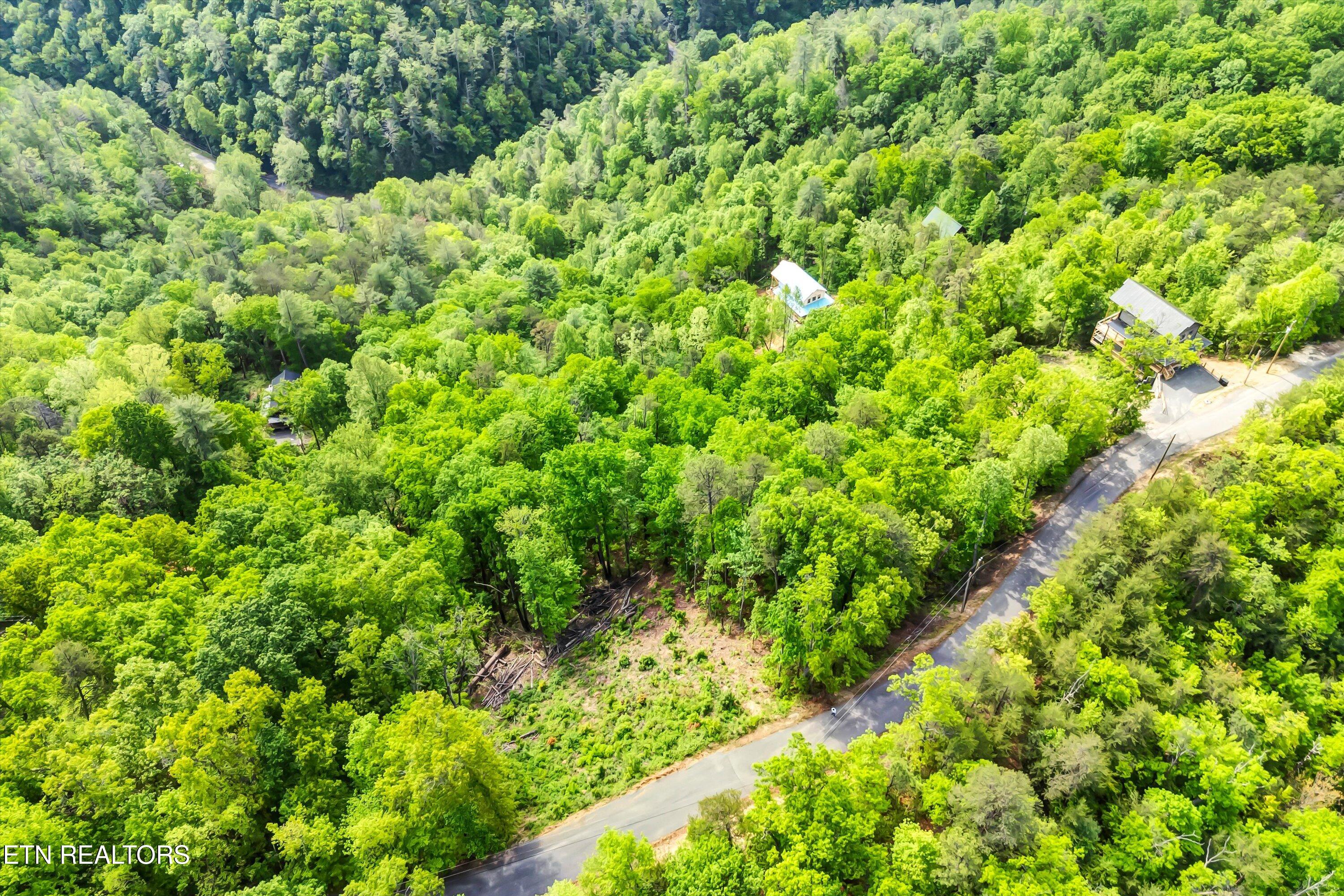 Lot 1 Hatcher Top Rd Property Photo 8