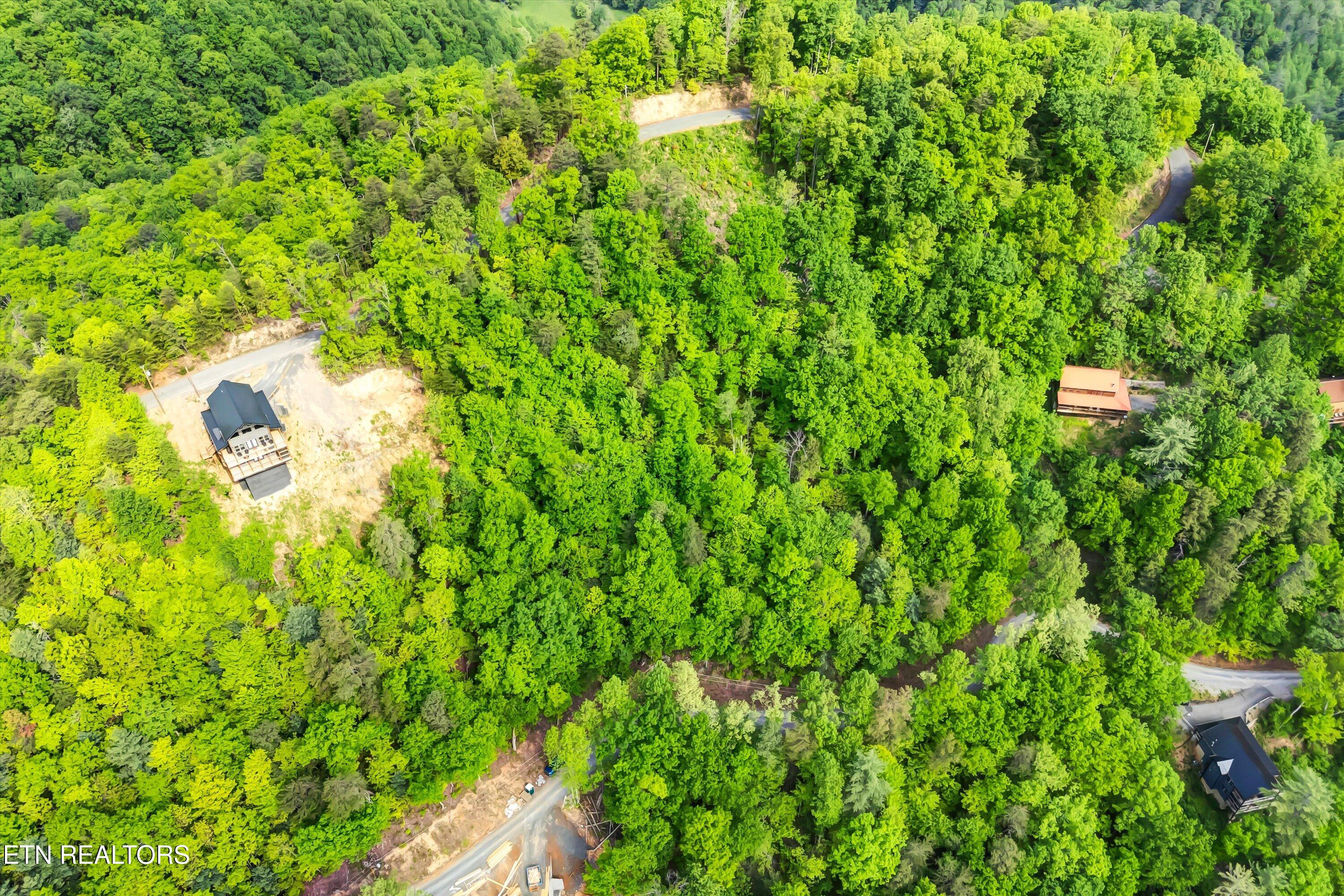 Lot 1 Hatcher Top Rd Property Photo 16