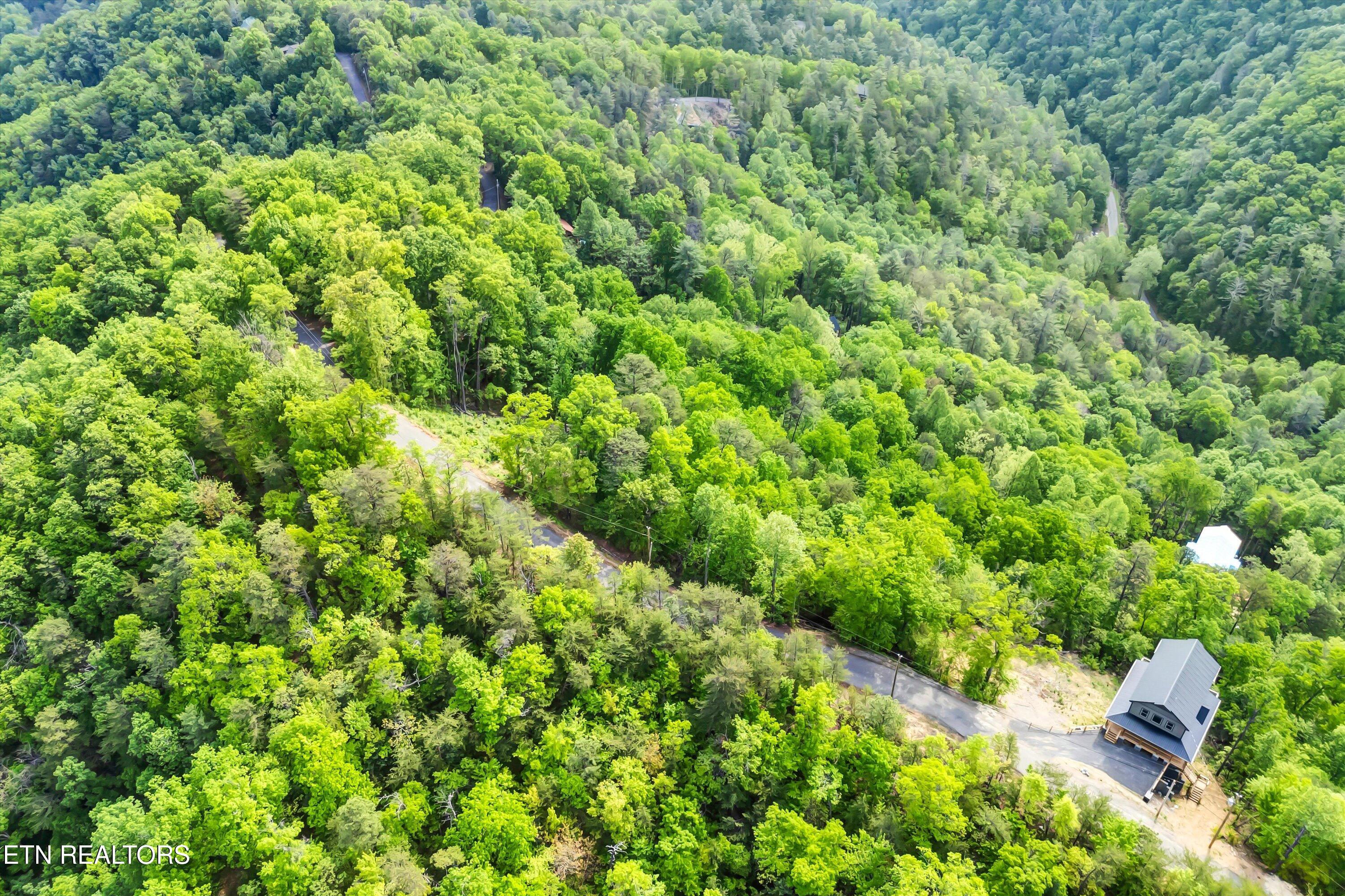 Lot 1 Hatcher Top Rd Property Photo 20