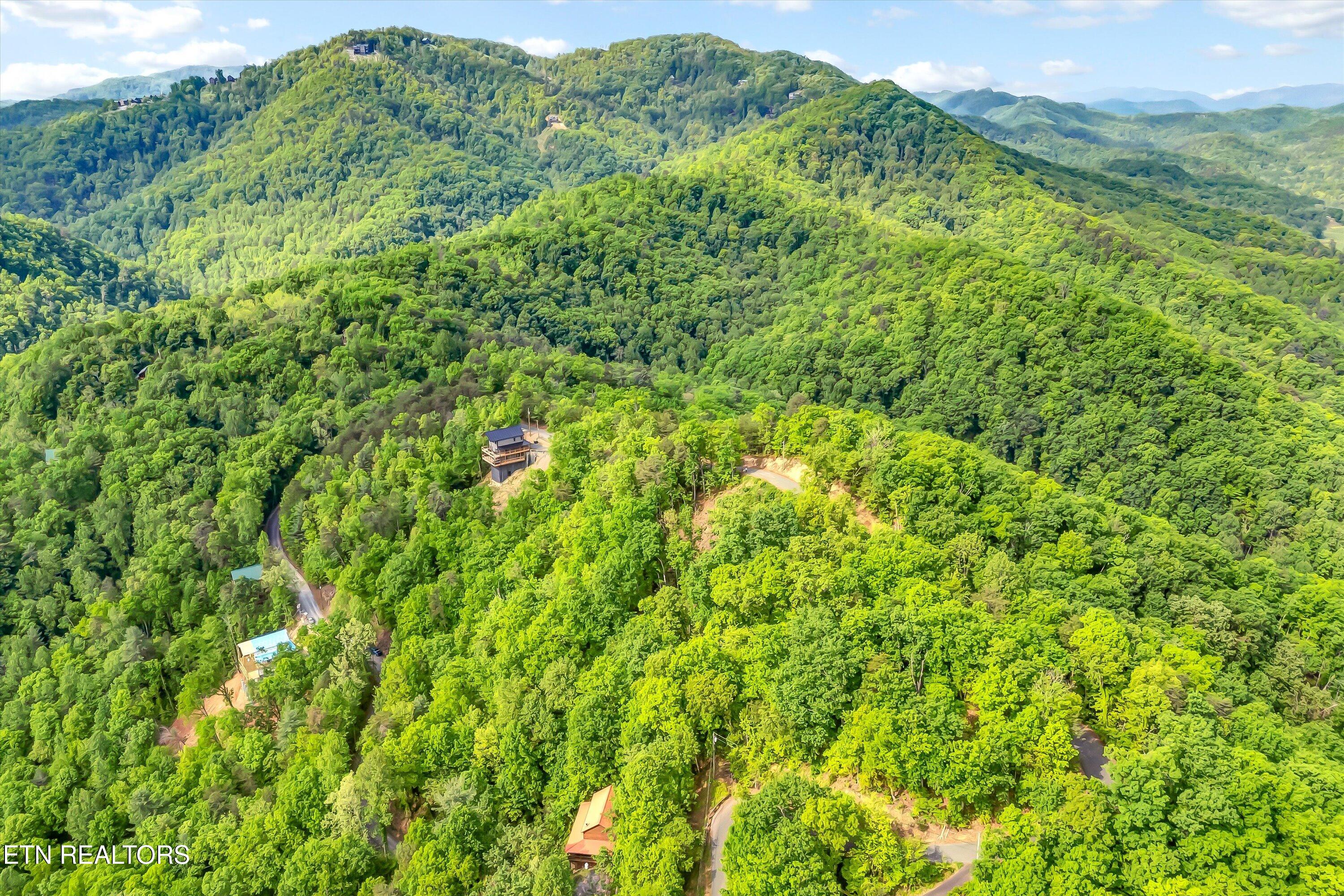 Lot 1 Hatcher Top Rd Property Photo 30