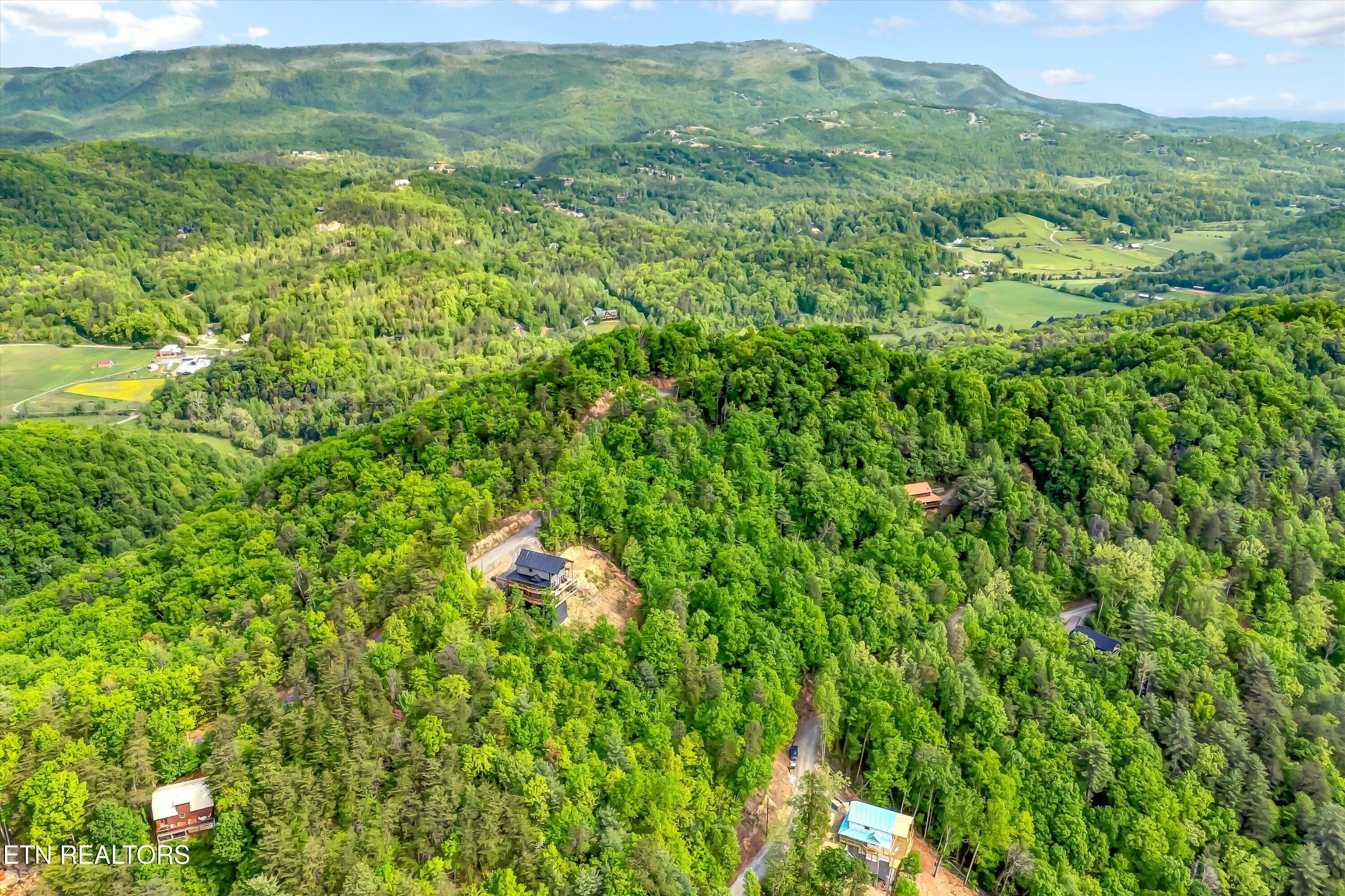 Lot 1 Hatcher Top Rd Property Photo 36