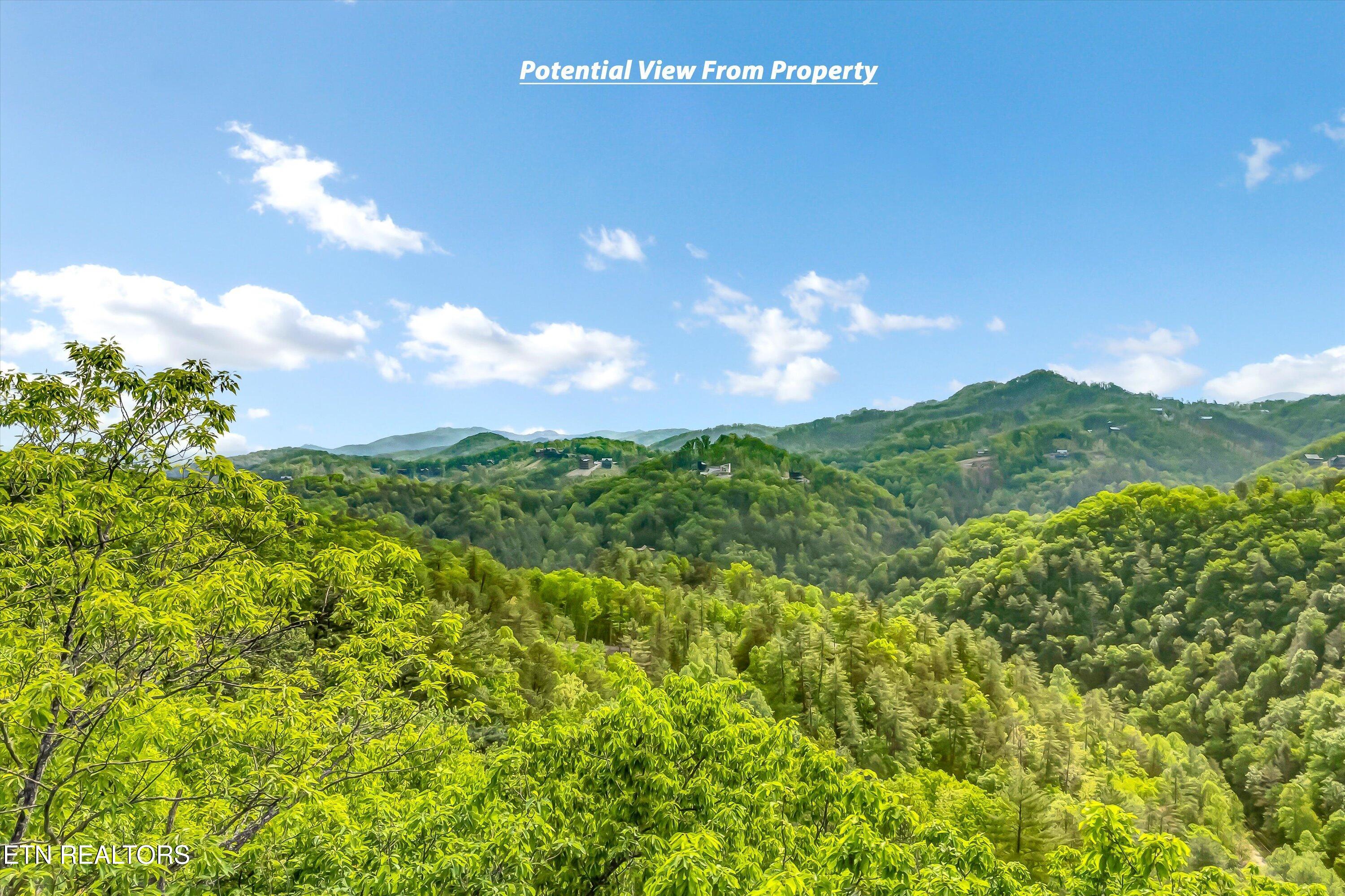 Lot 1 Hatcher Top Rd Property Photo 39