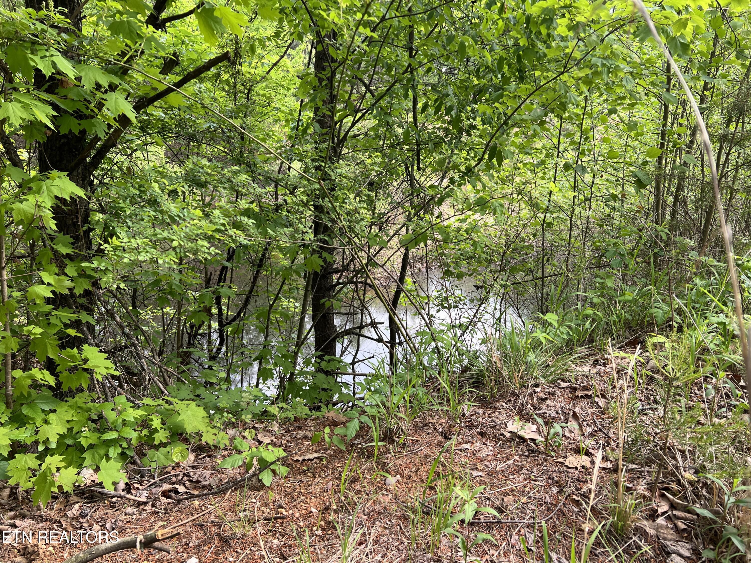 9550 Rocky Point Rd Property Photo 3