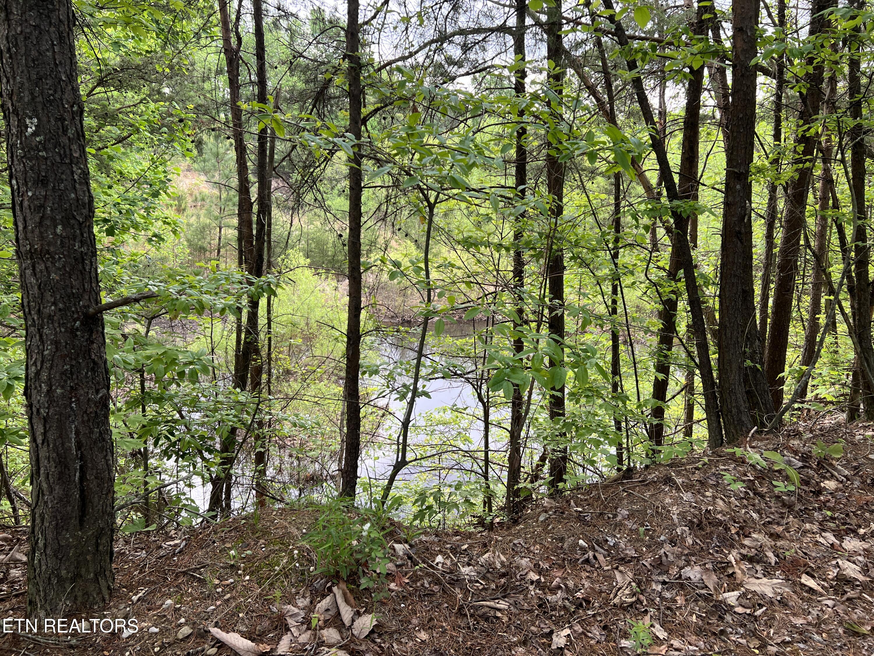 9550 Rocky Point Rd Property Photo 4