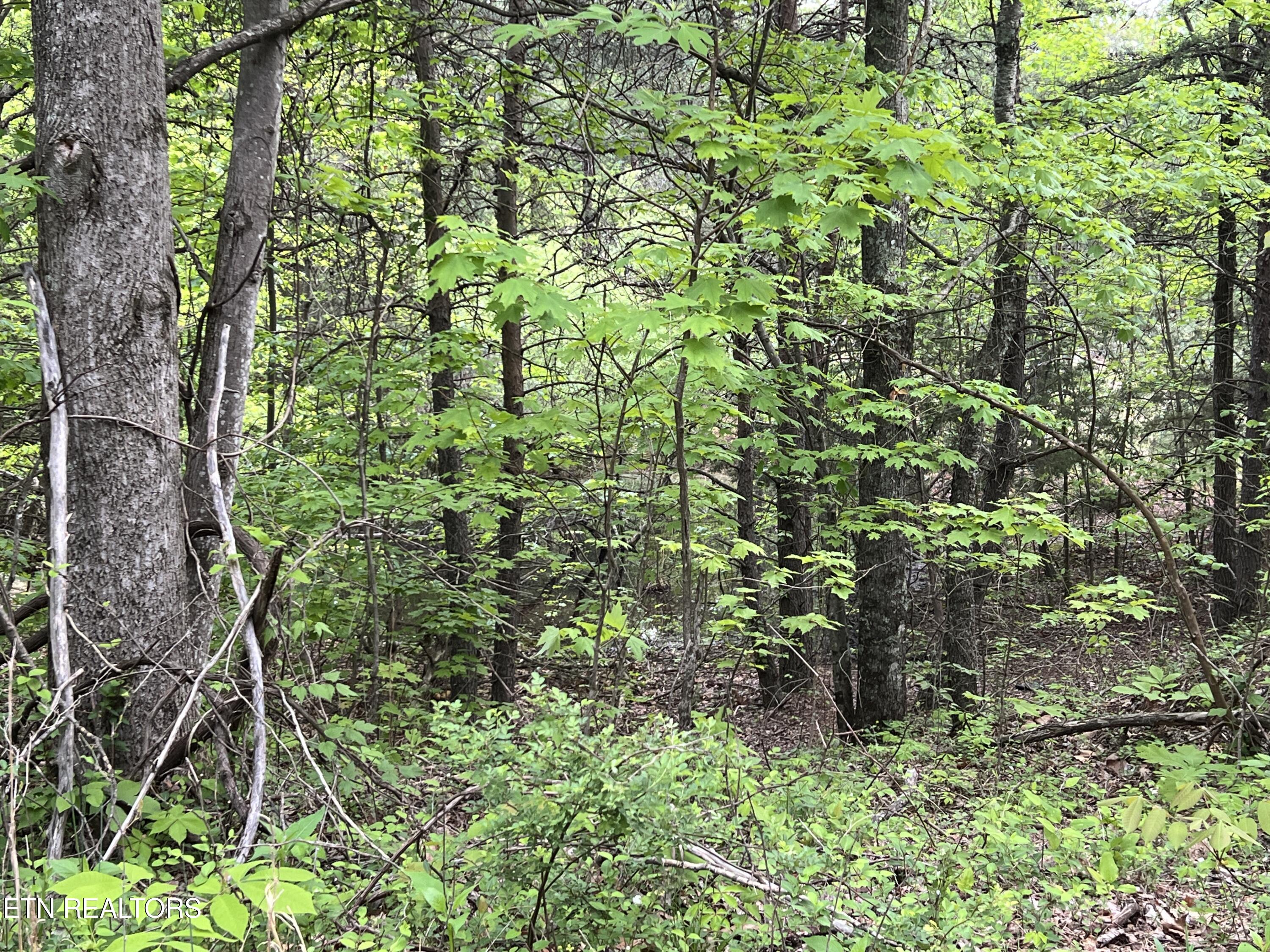 9550 Rocky Point Rd Property Photo 5