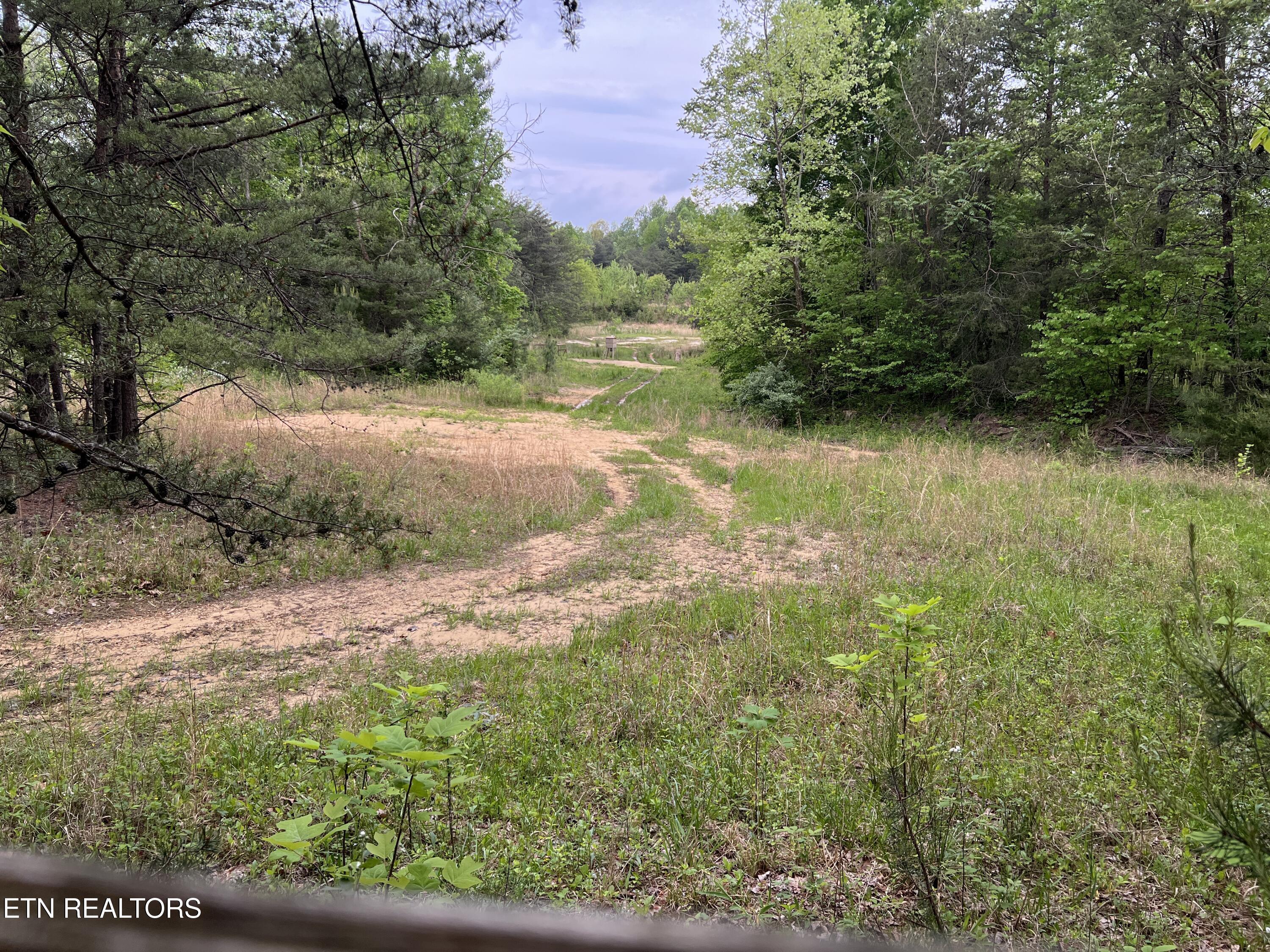 9550 Rocky Point Rd Property Photo 7