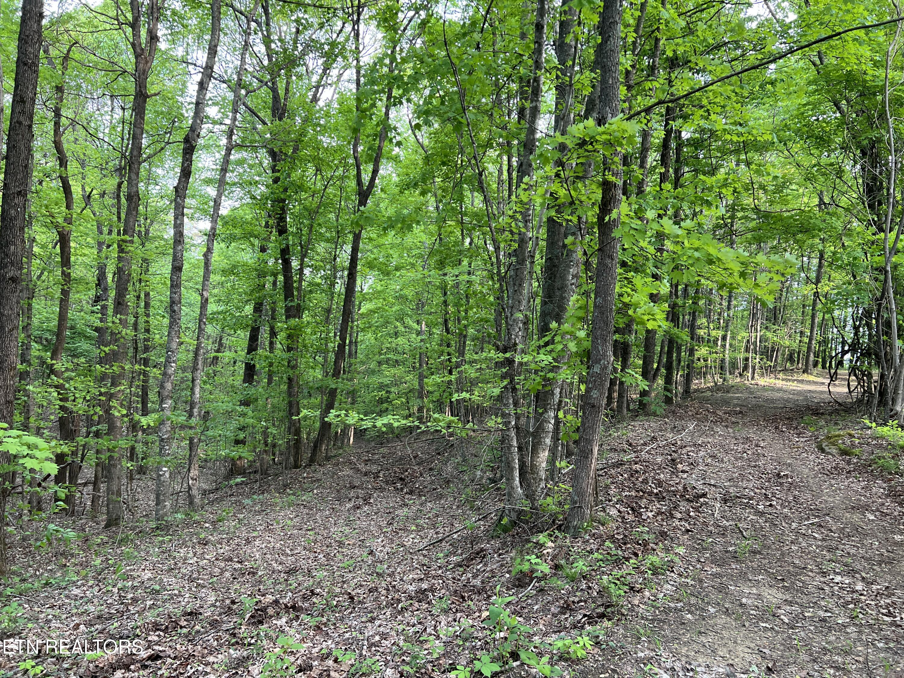 9550 Rocky Point Rd Property Photo 12