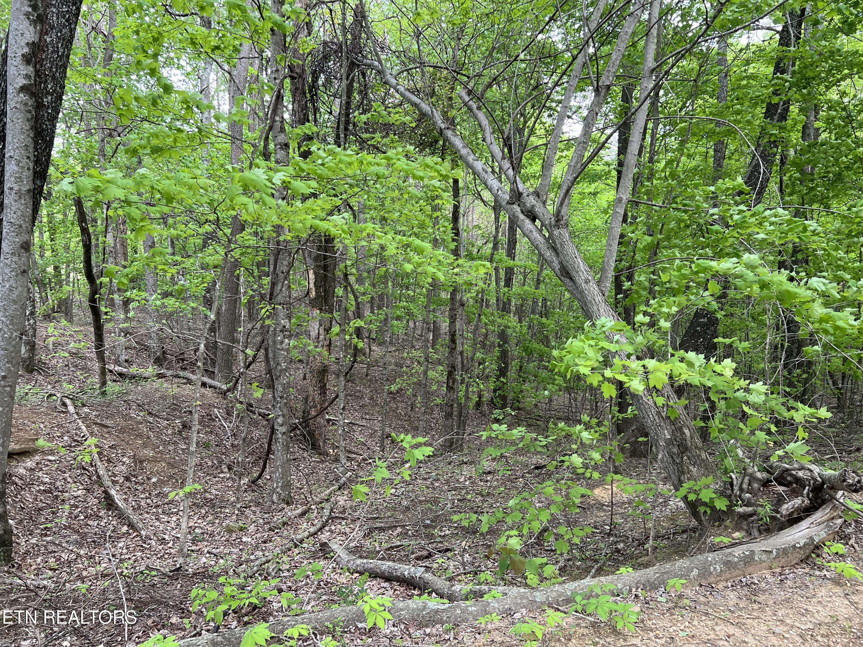 9550 Rocky Point Rd Property Photo 13