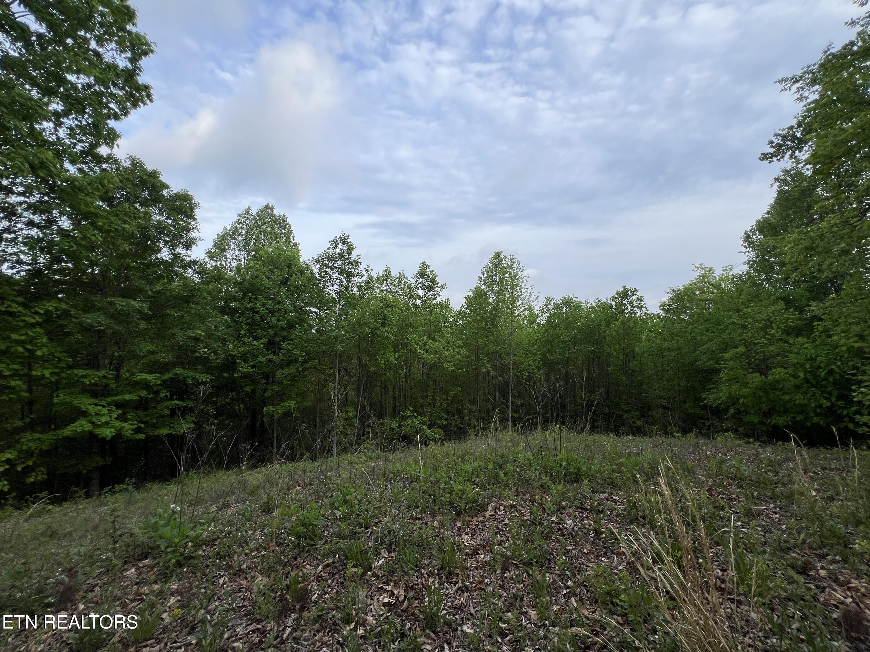 9550 Rocky Point Rd Property Photo 19