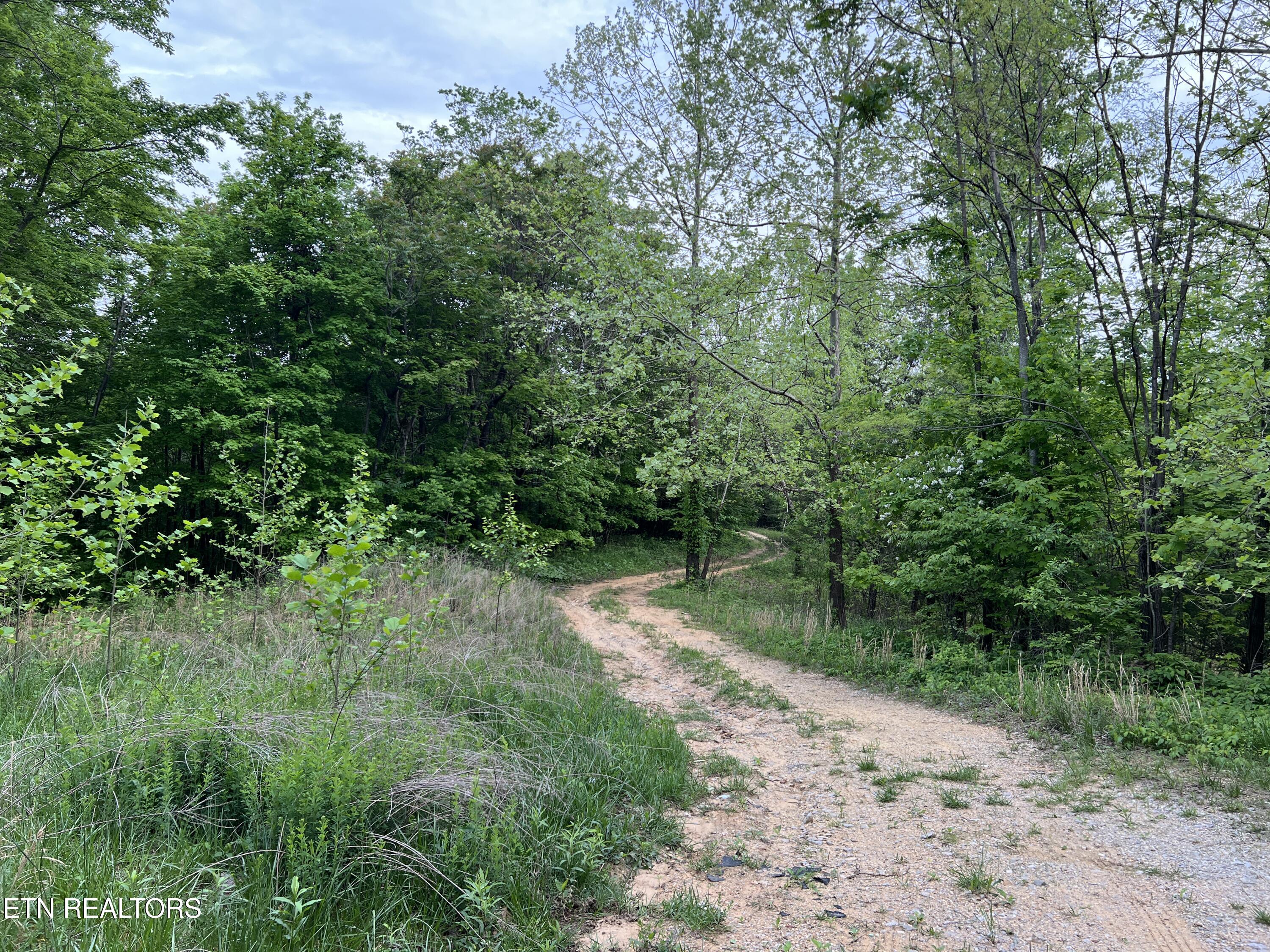 9550 Rocky Point Rd Property Photo 21
