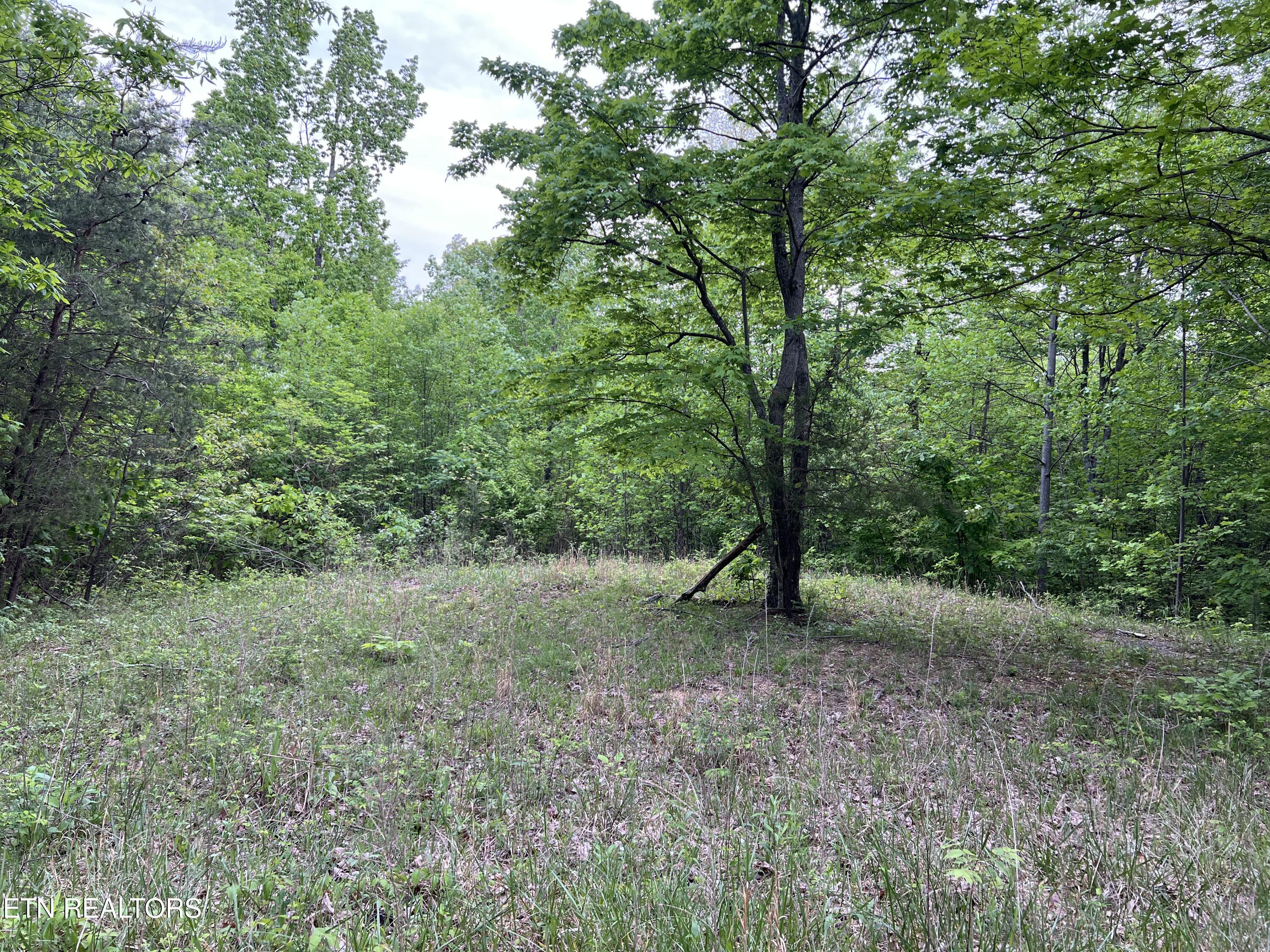 9550 Rocky Point Rd Property Photo 22