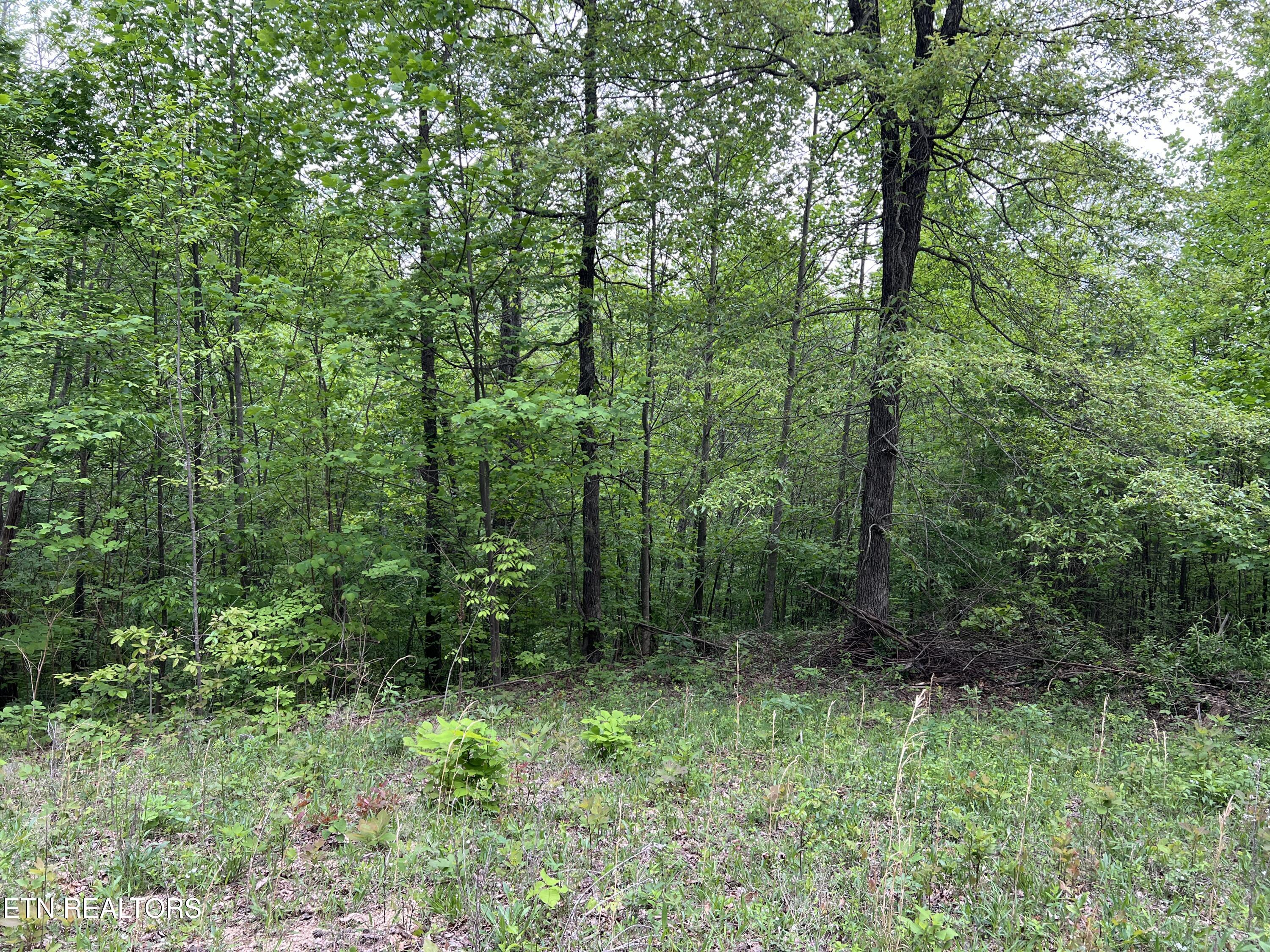 9550 Rocky Point Rd Property Photo 23