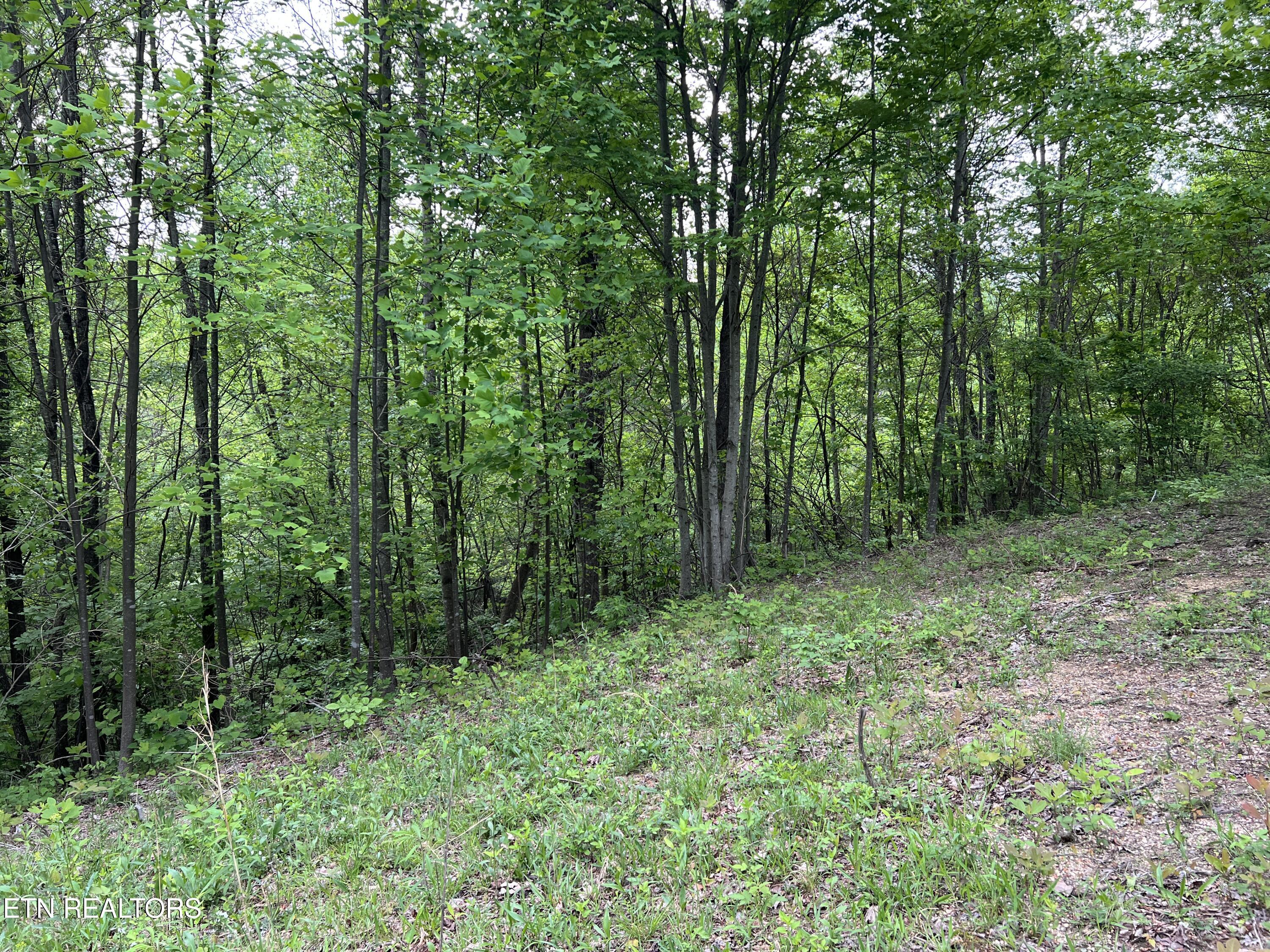 9550 Rocky Point Rd Property Photo 24