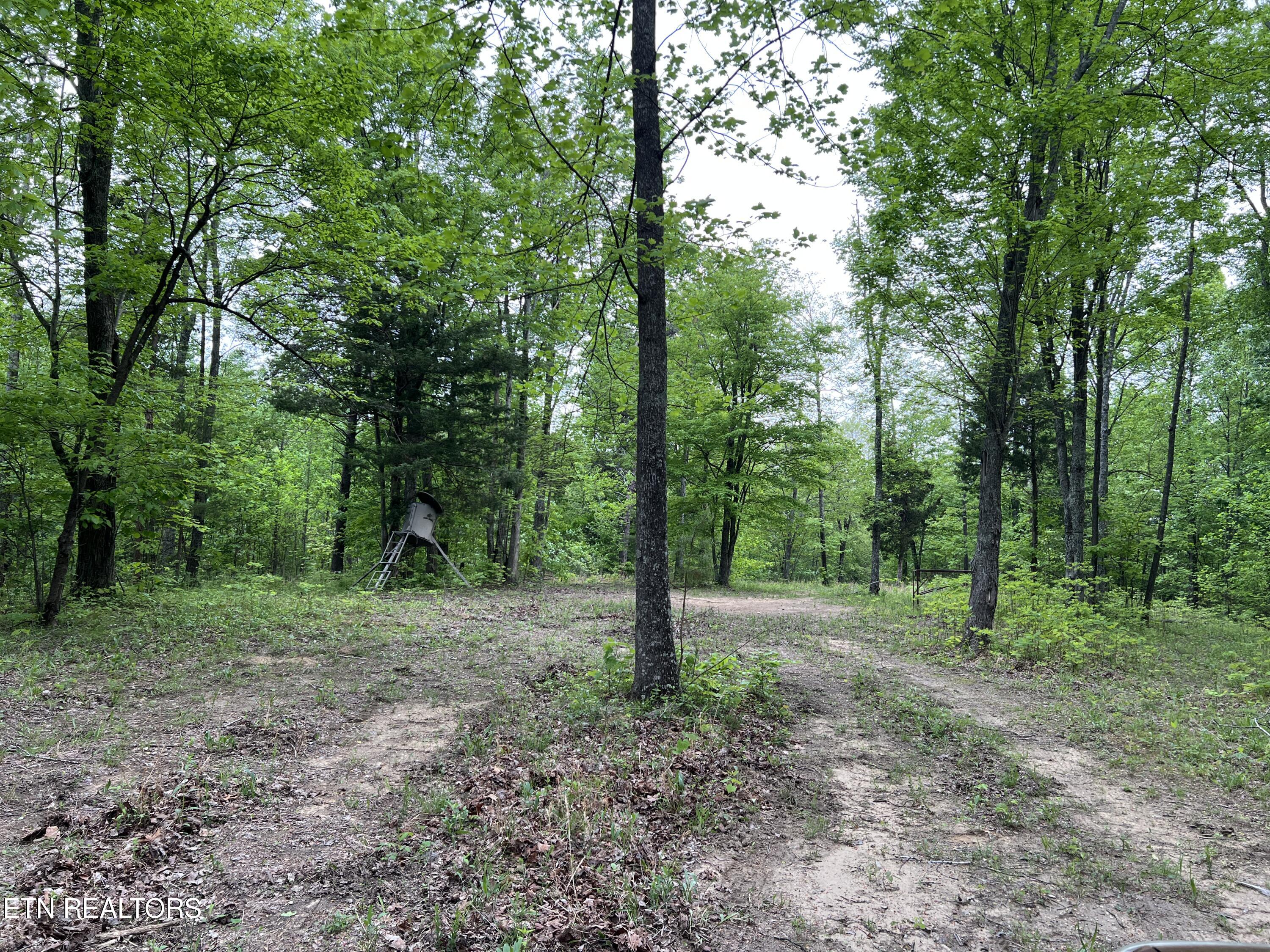 9550 Rocky Point Rd Property Photo 25