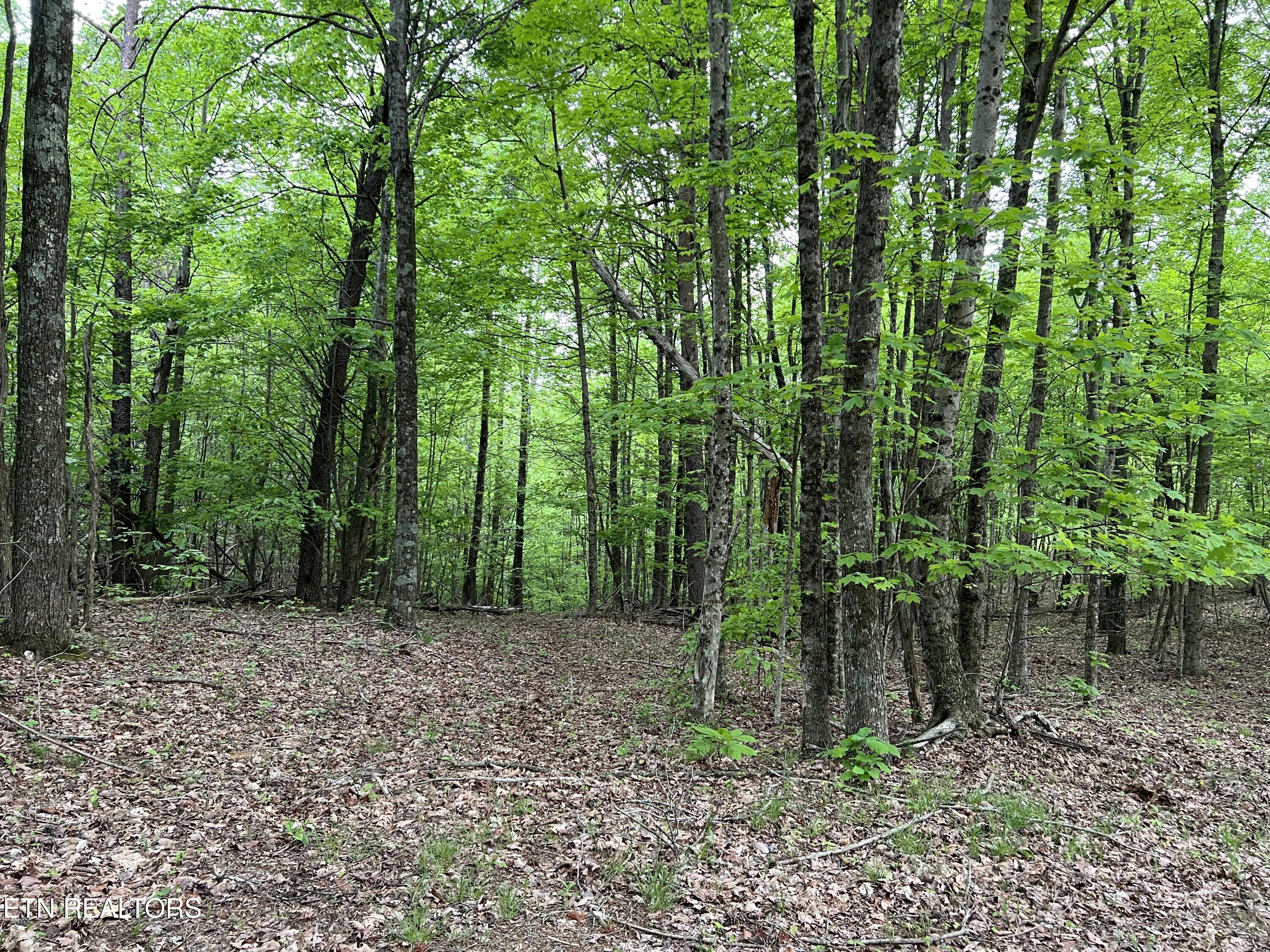 9550 Rocky Point Rd Property Photo 27