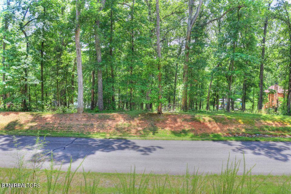 Lot 55 E Shore Drive Property Photo