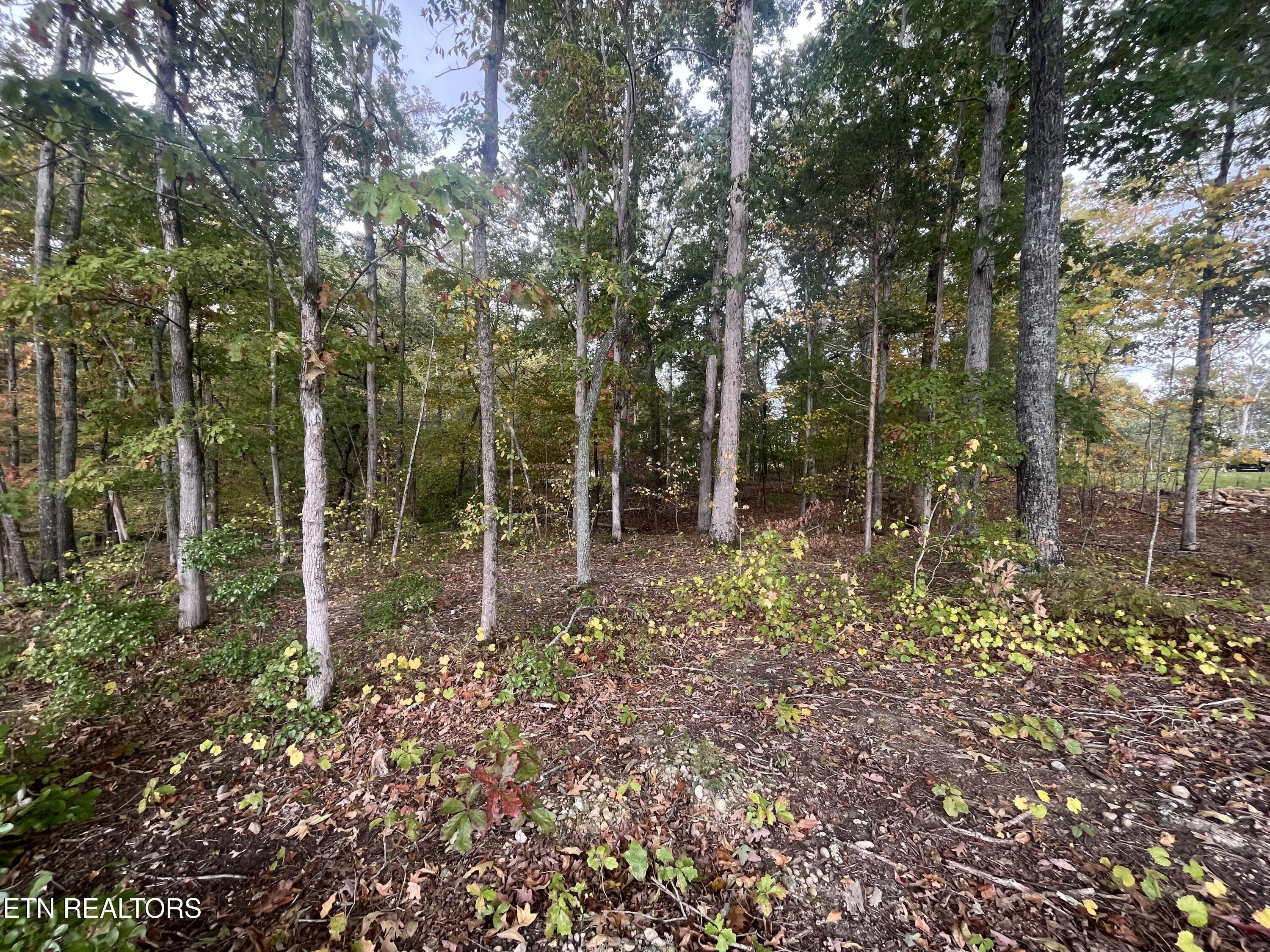 Lot 55 E Shore Drive Property Photo 2