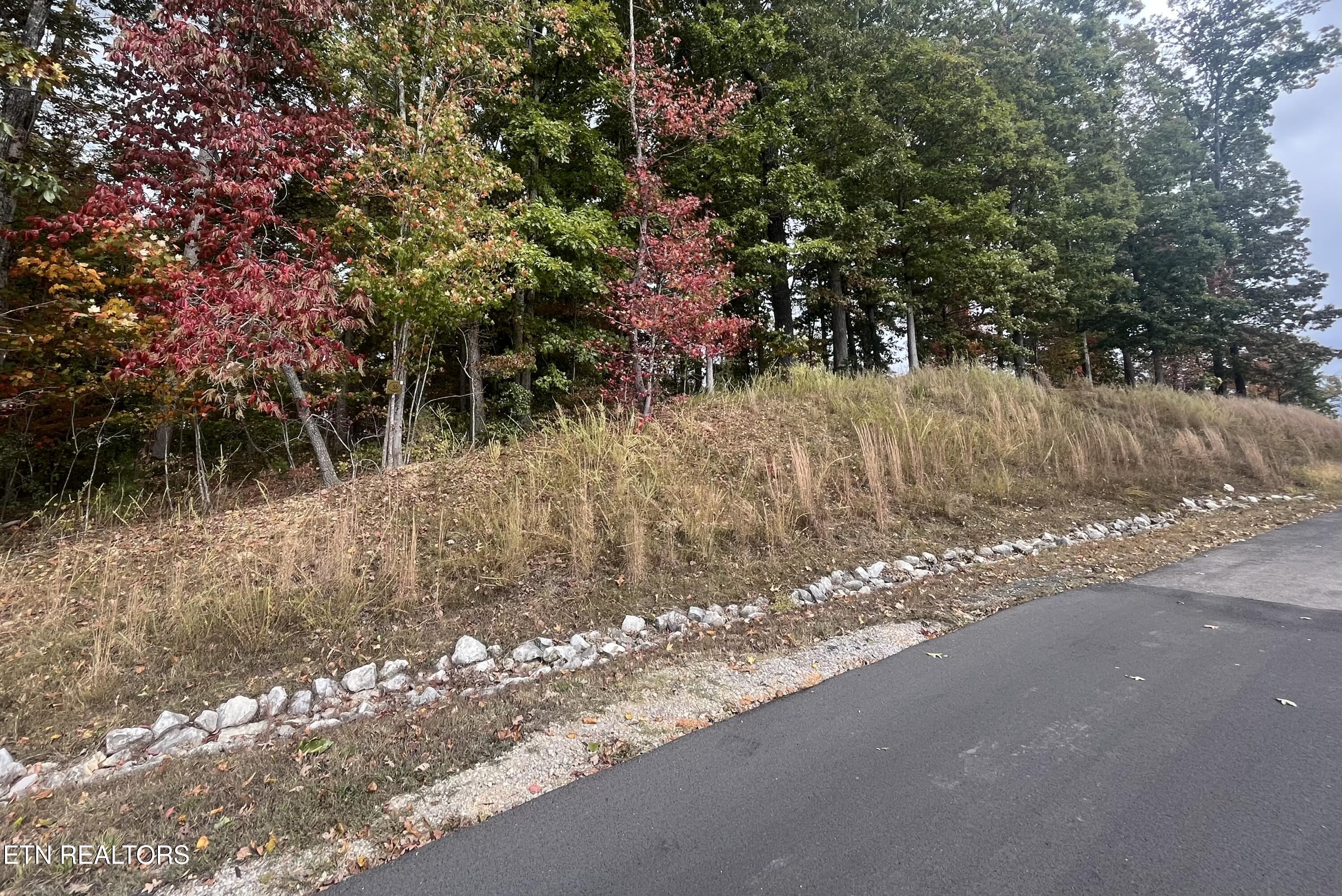 Lot 55 E Shore Drive Property Photo 4