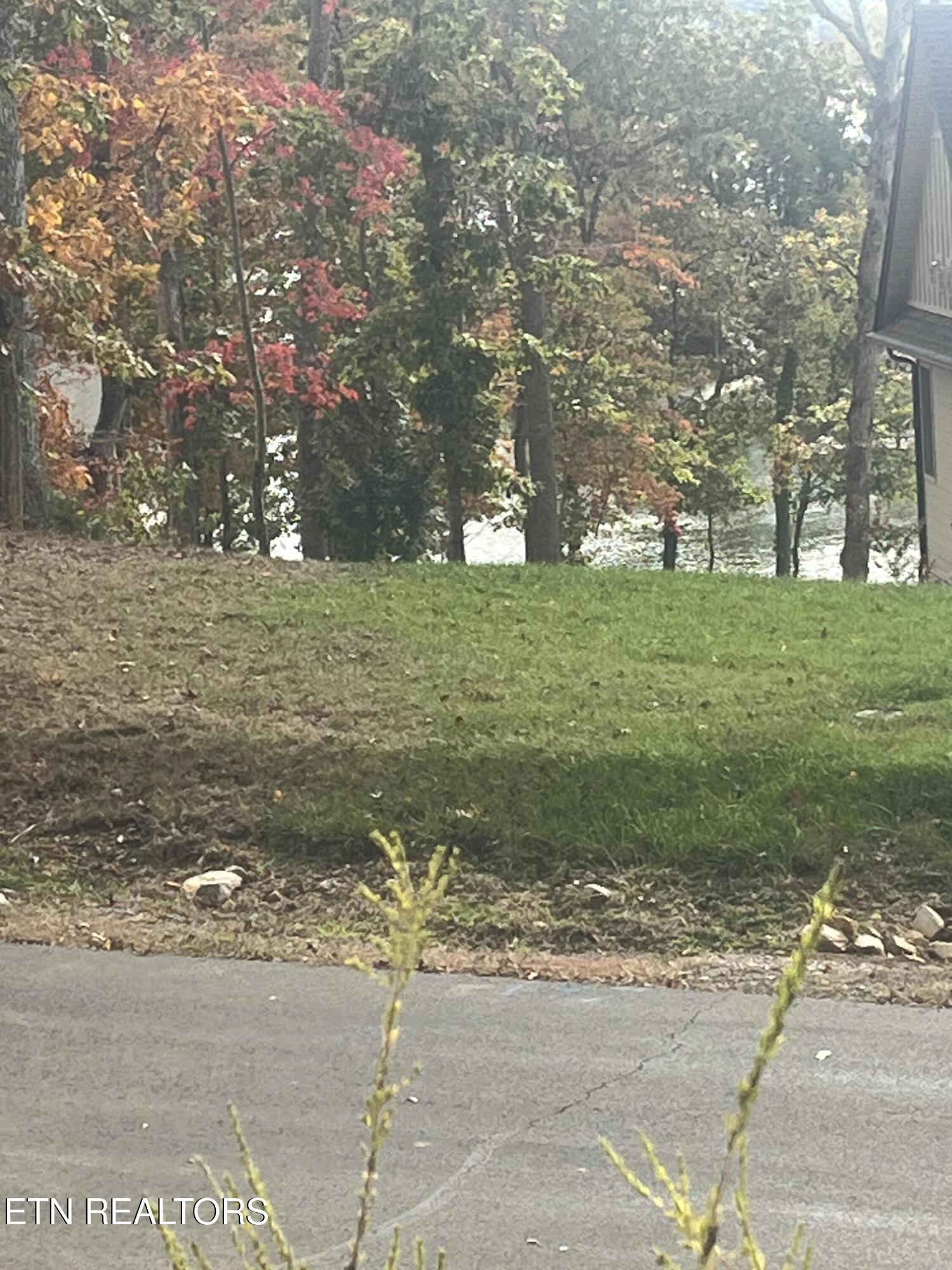Lot 55 E Shore Drive Property Photo 5