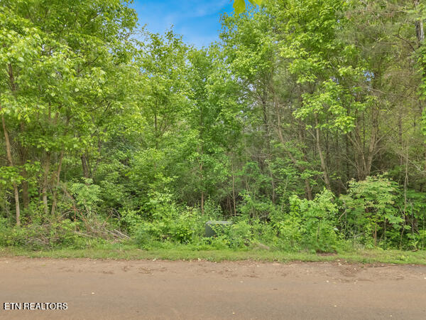 Lot 22 Symphony Way Property Photo 6