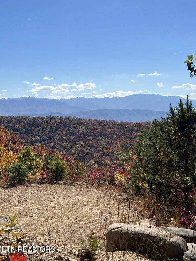0 English Mtn Rd Property Photo