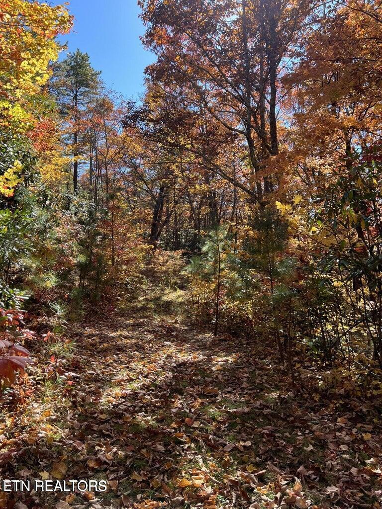 0 English Mtn Rd Property Photo 14
