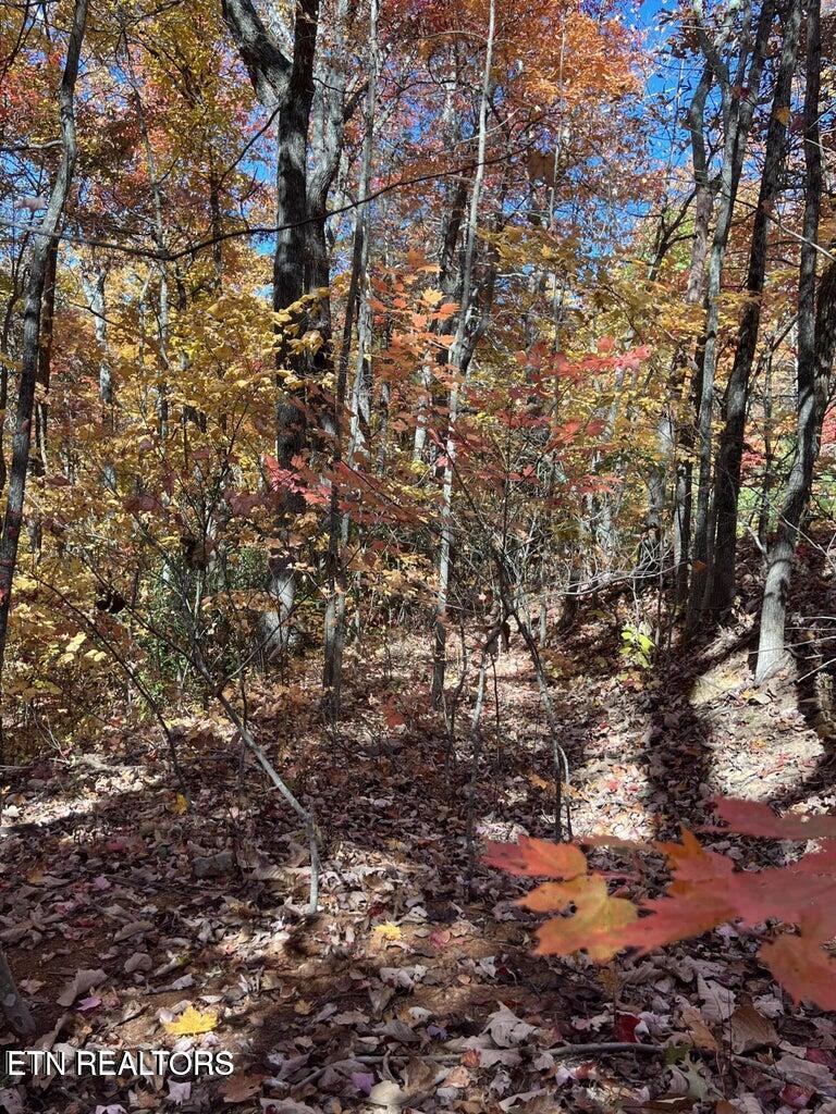 0 English Mtn Rd Property Photo 15