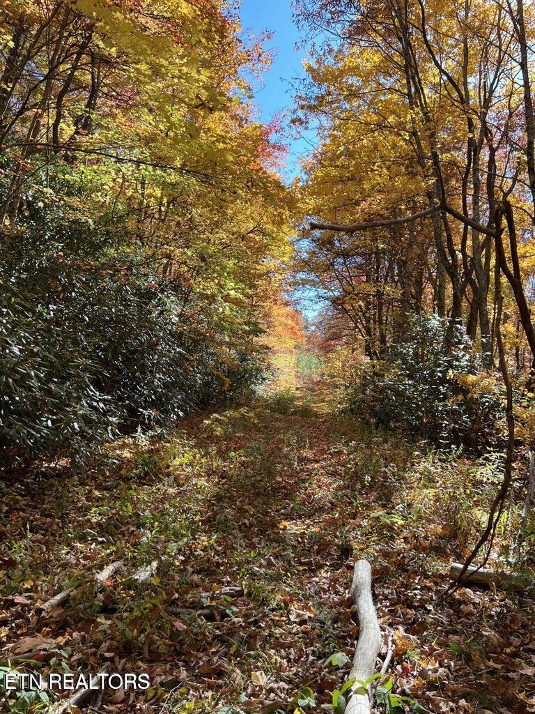 0 English Mtn Rd Property Photo 16
