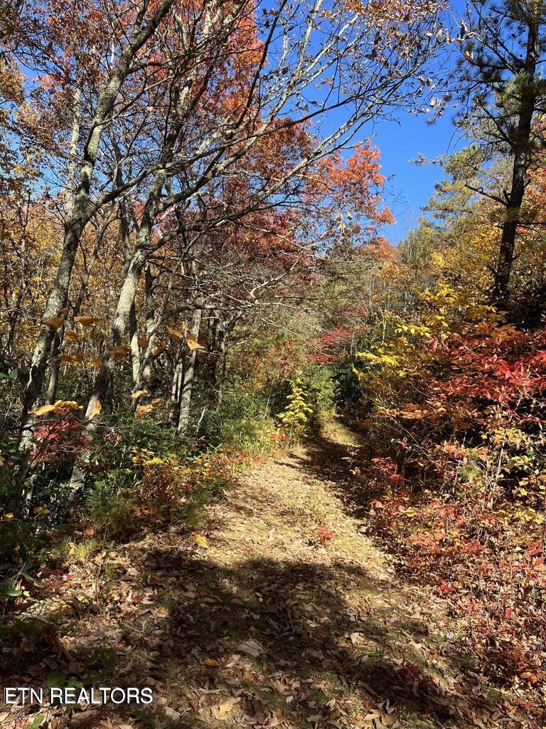 0 English Mtn Rd Property Photo 17