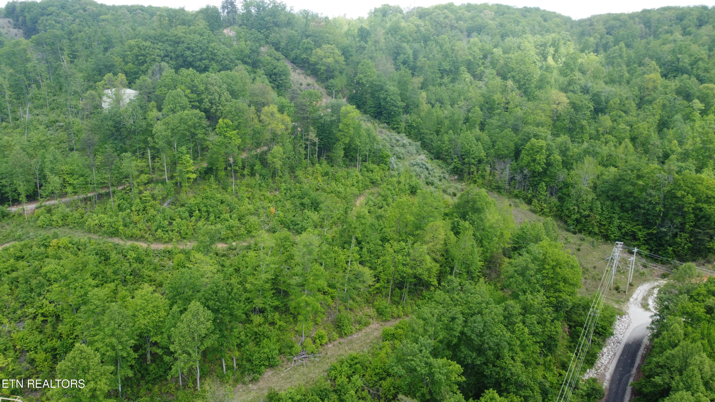 Old Kentucky Rd Property Photo 4