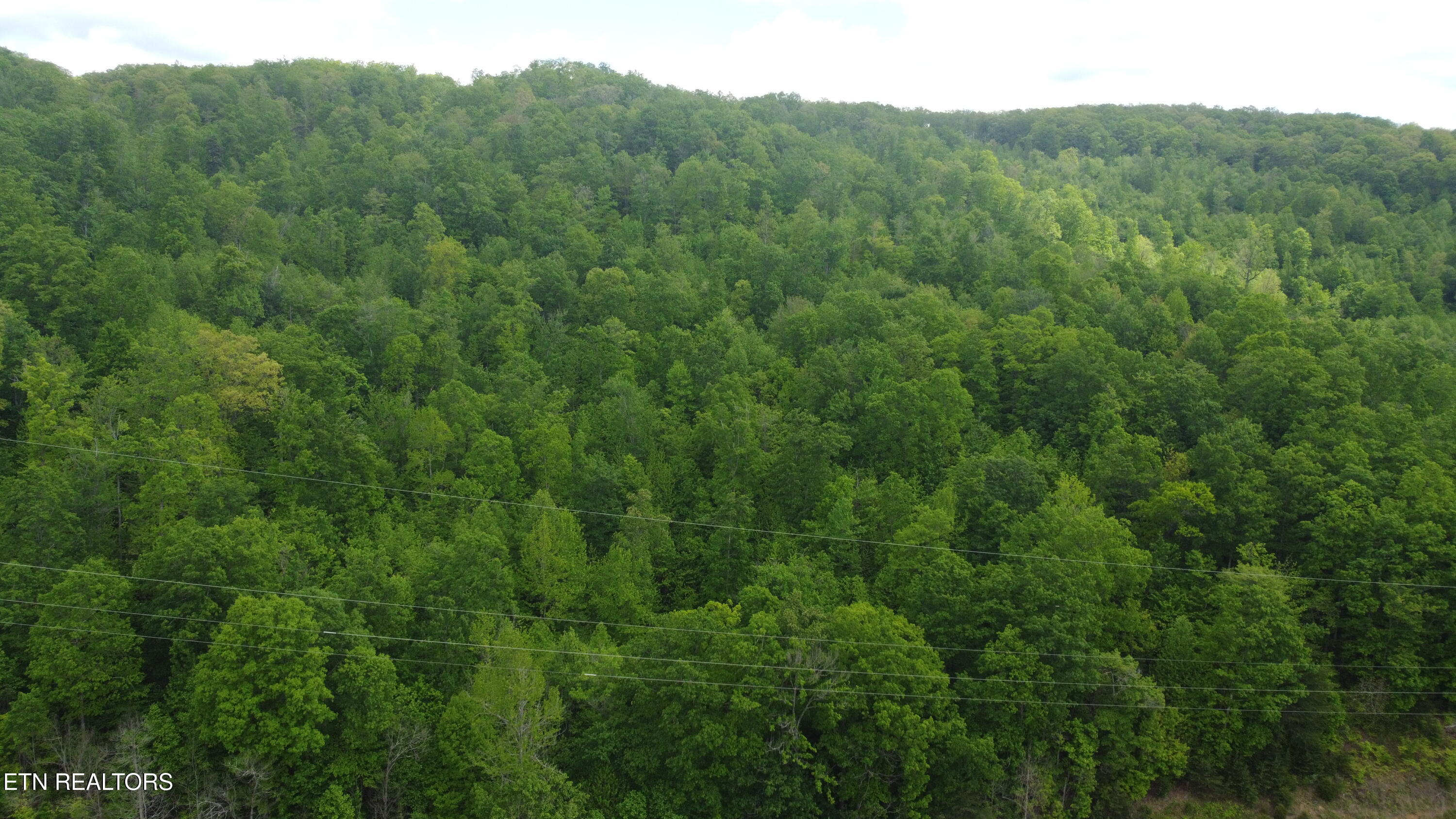 Old Kentucky Rd Property Photo 7