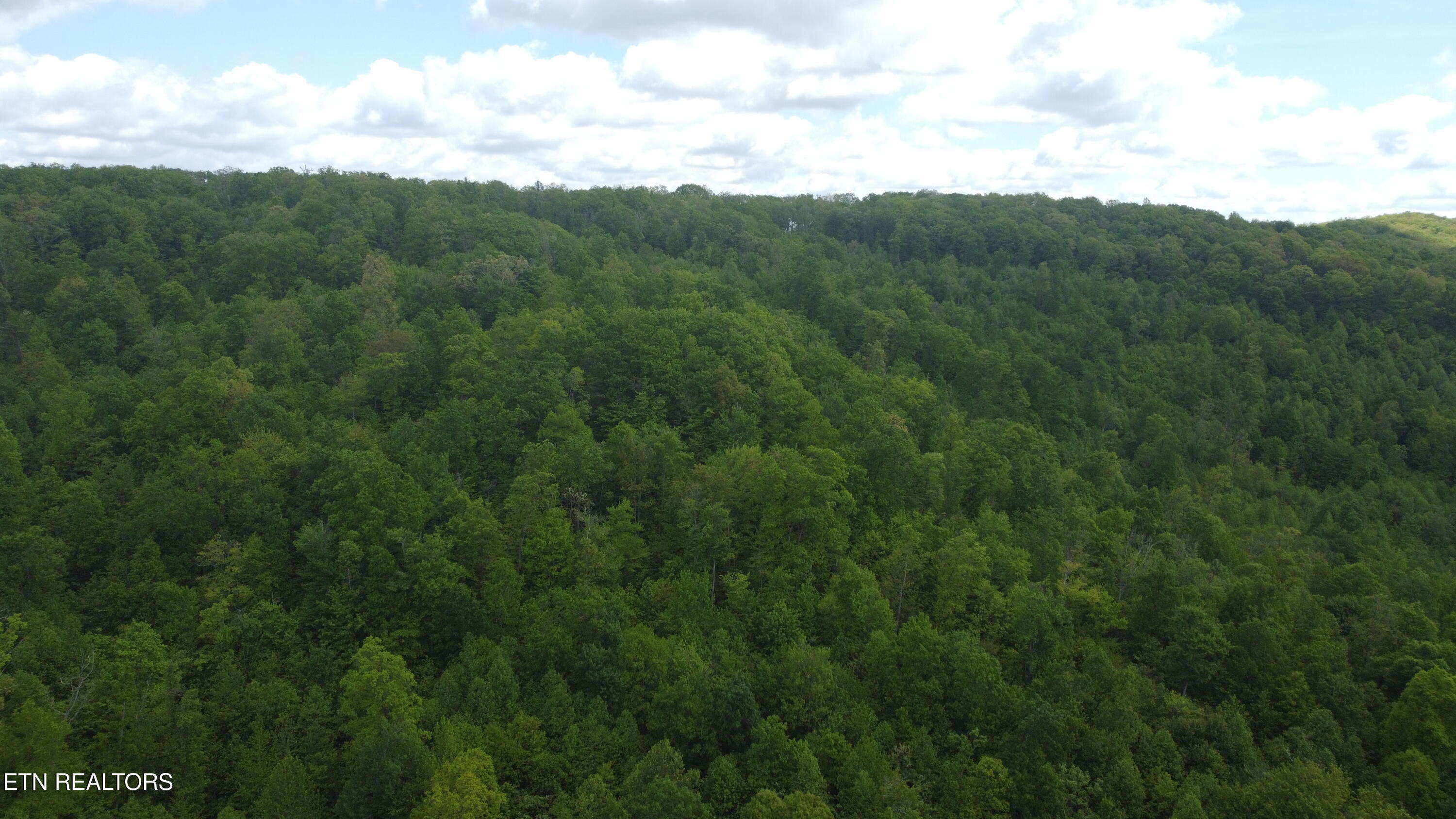 Old Kentucky Rd Property Photo 16