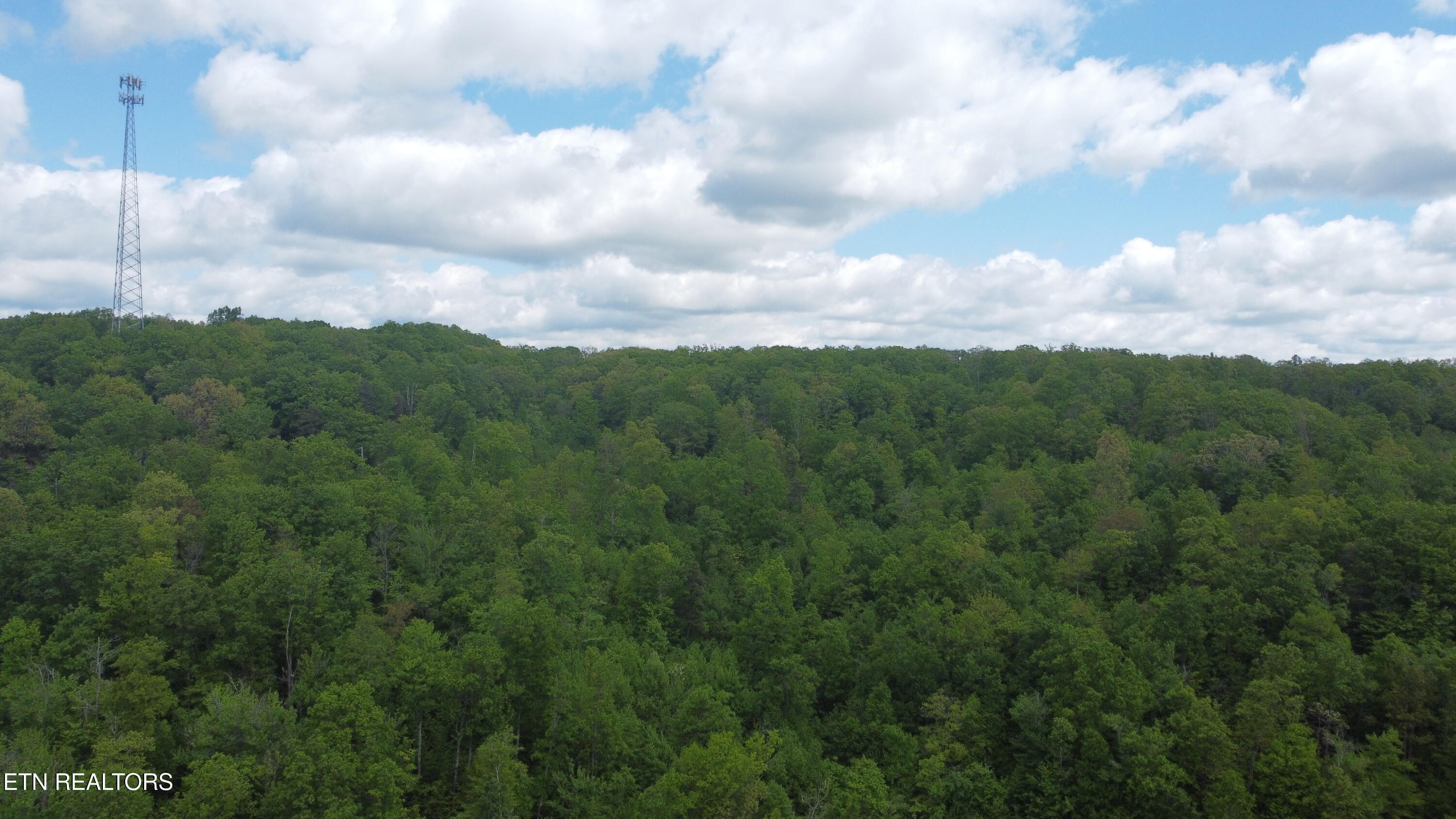 Old Kentucky Rd Property Photo 17
