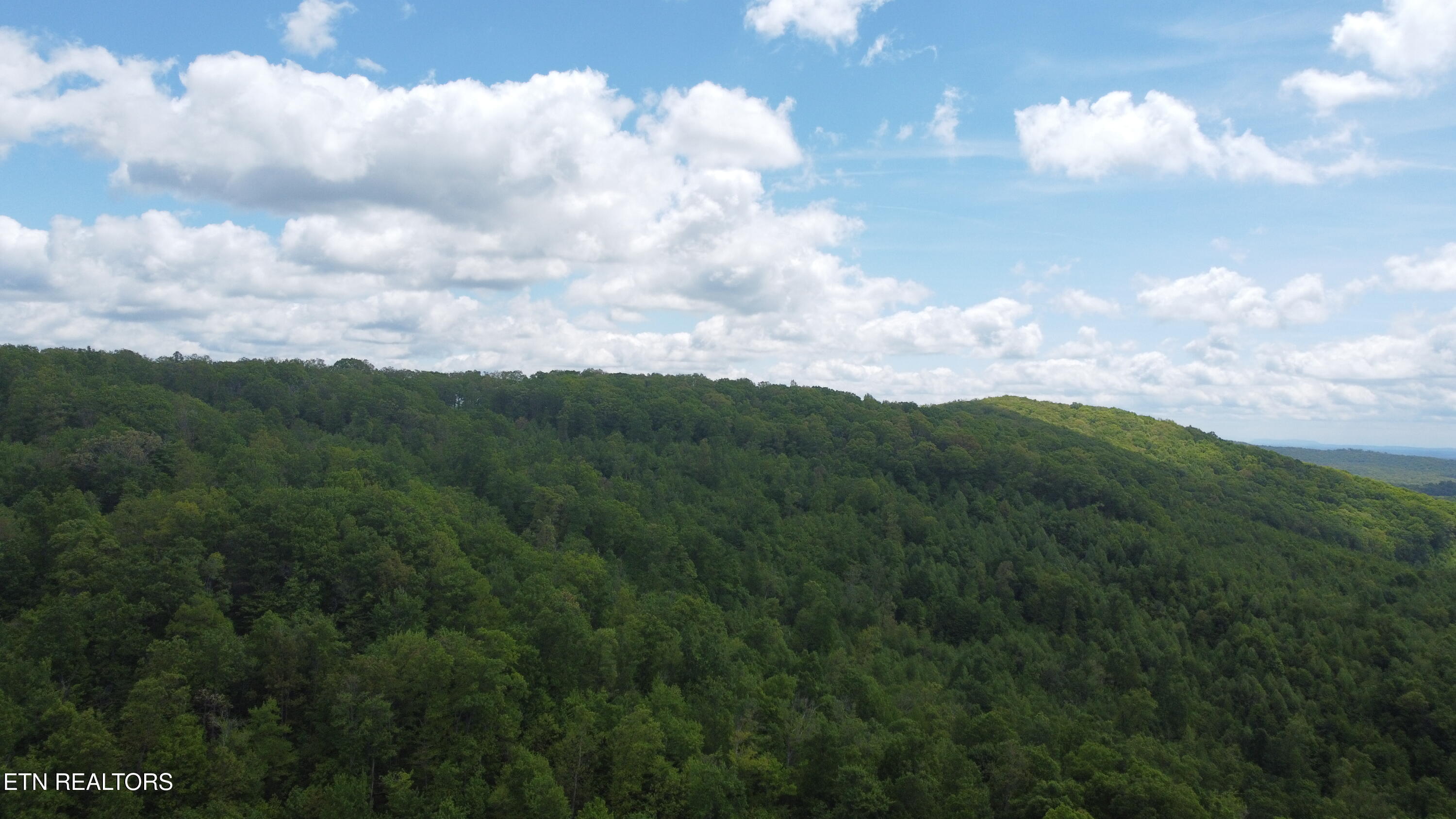 Old Kentucky Rd Property Photo 18