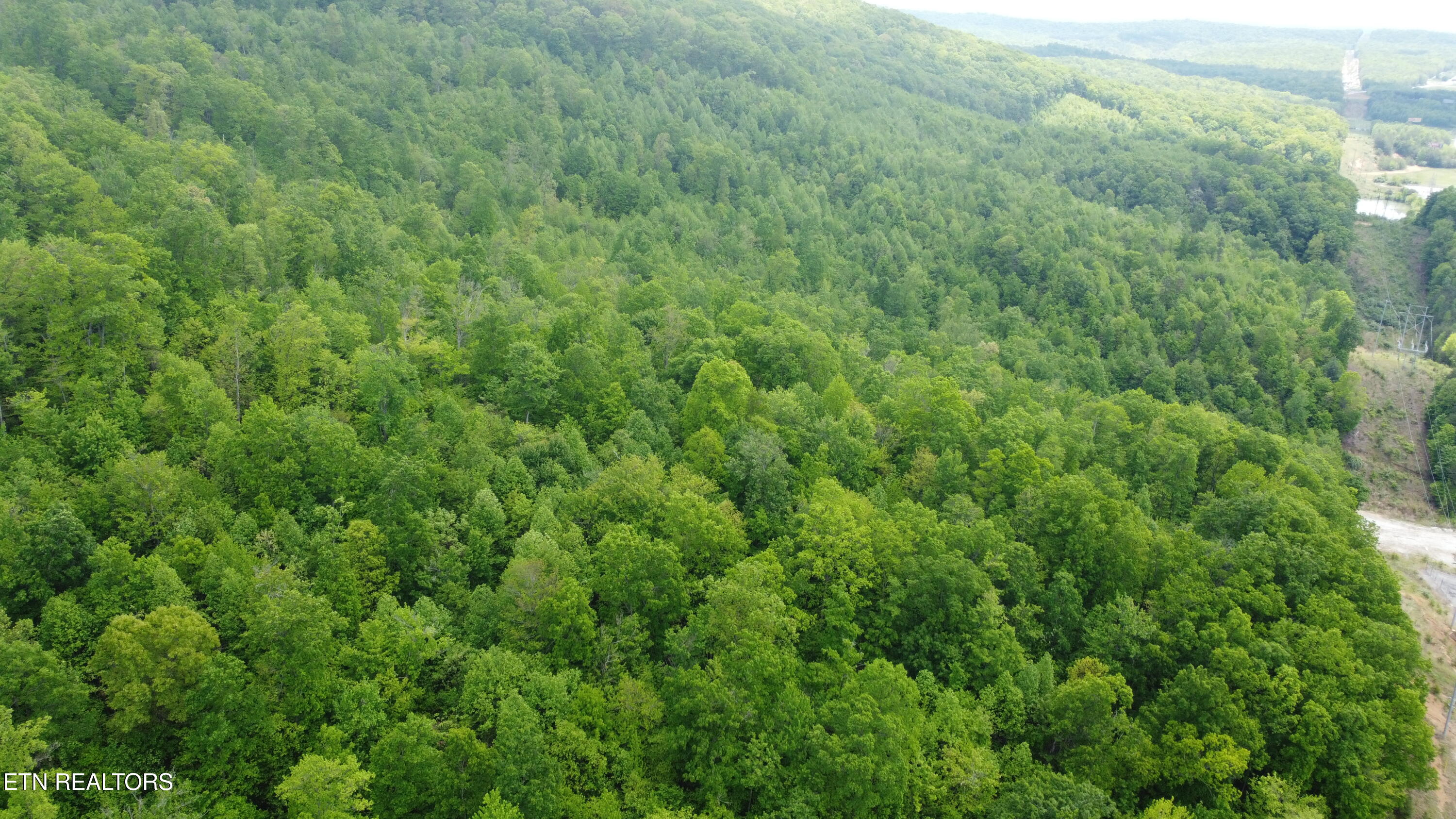 Old Kentucky Rd Property Photo 19