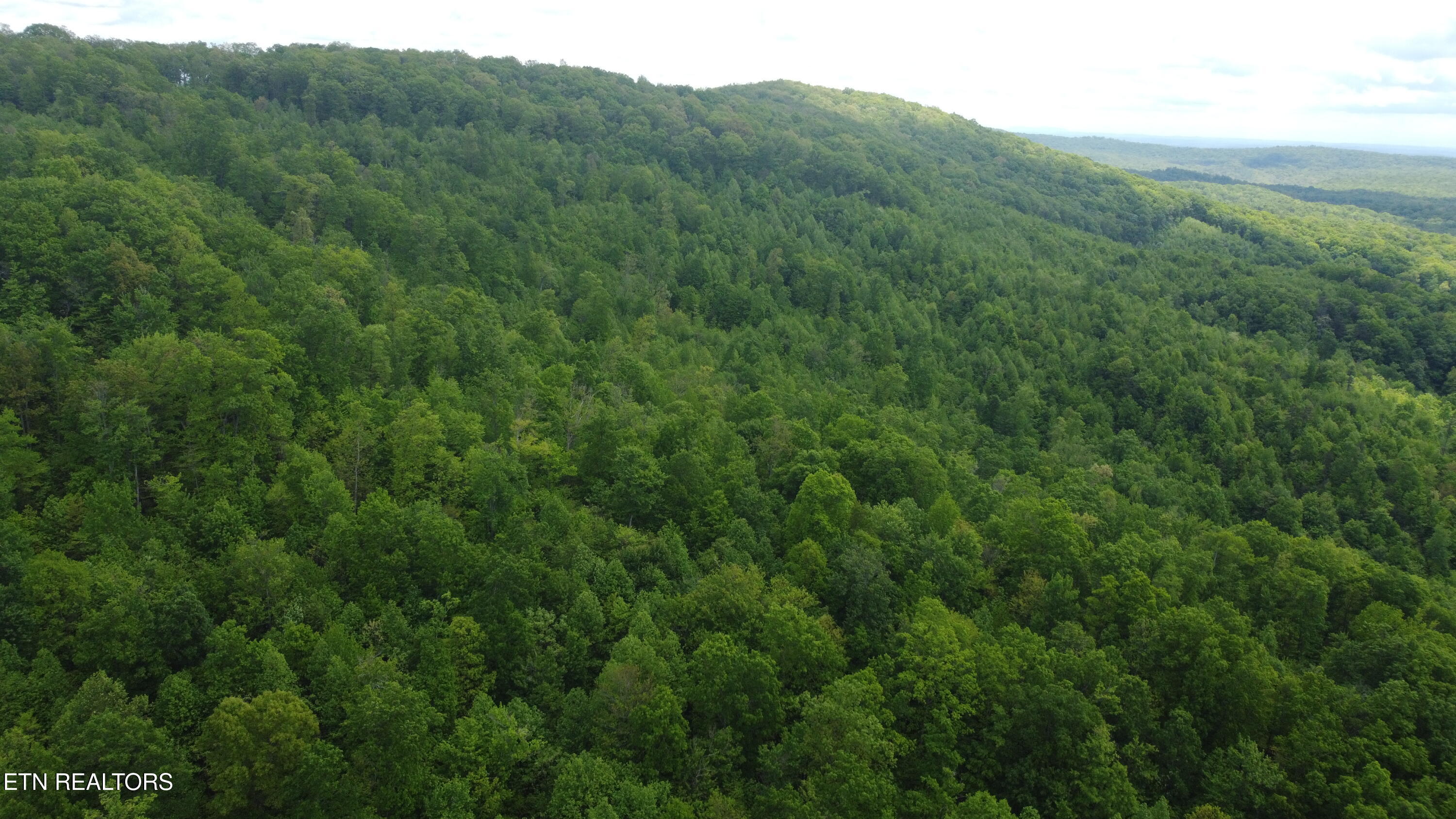 Old Kentucky Rd Property Photo 20