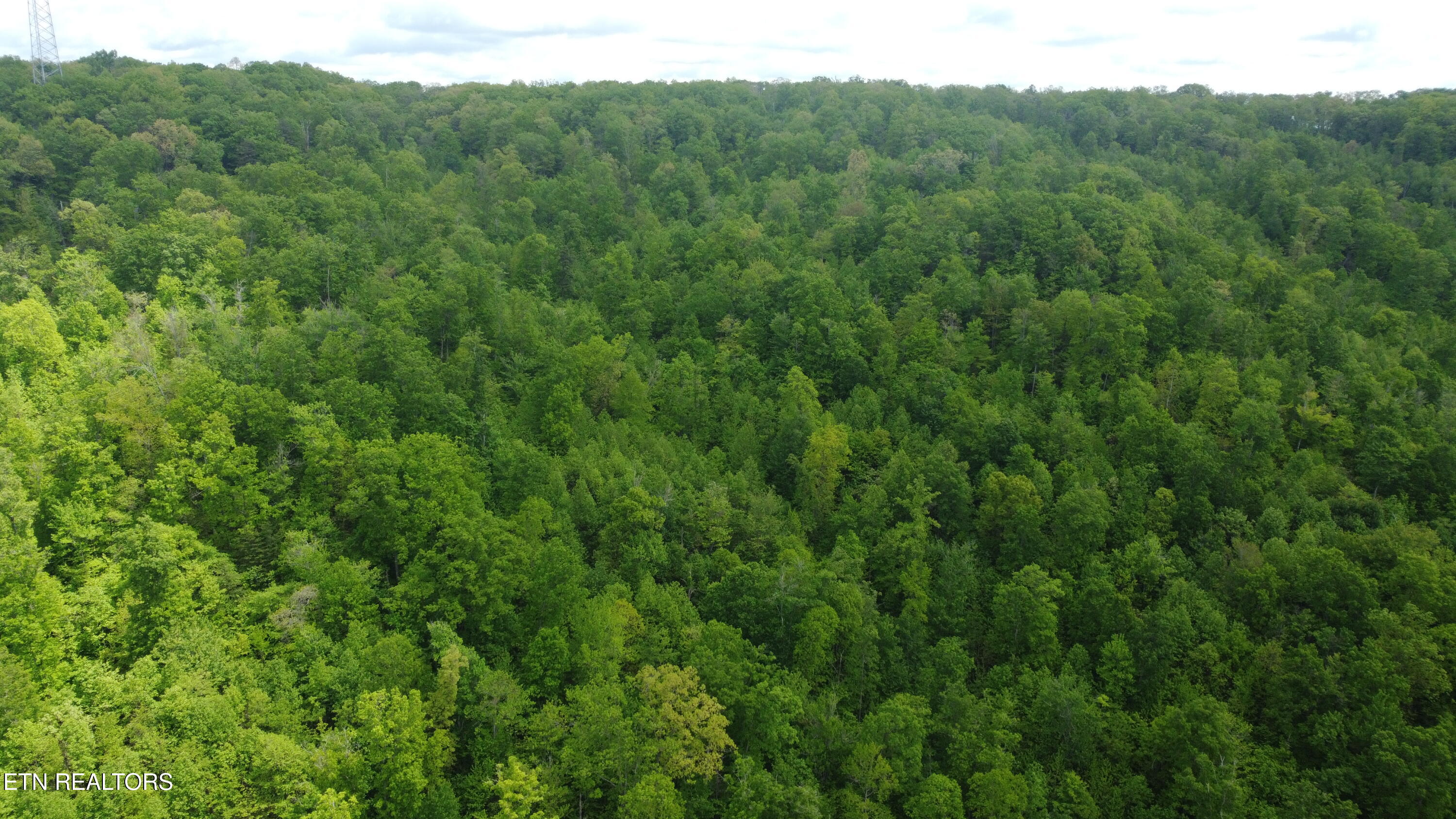 Old Kentucky Rd Property Photo 21