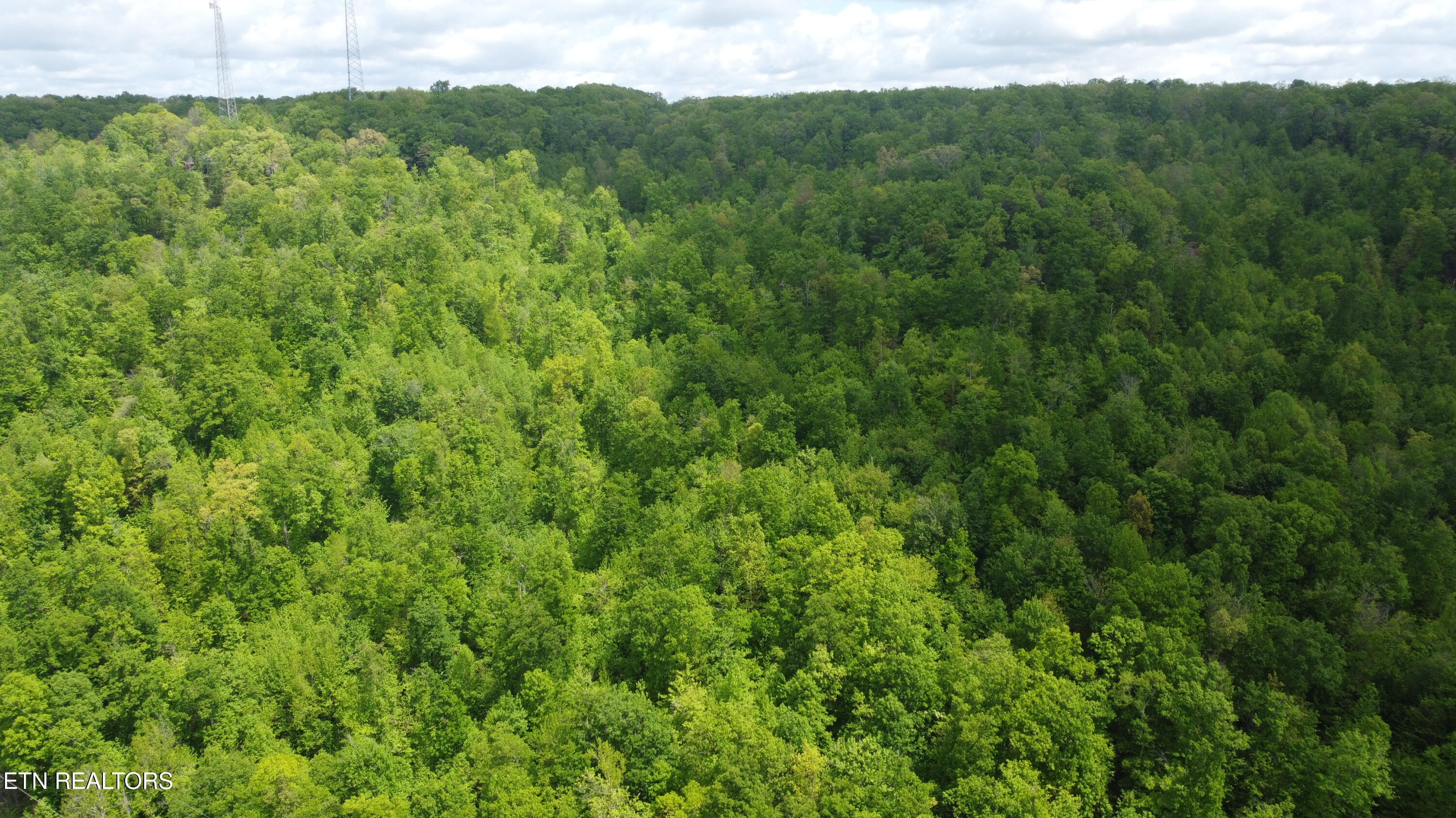 Old Kentucky Rd Property Photo 24