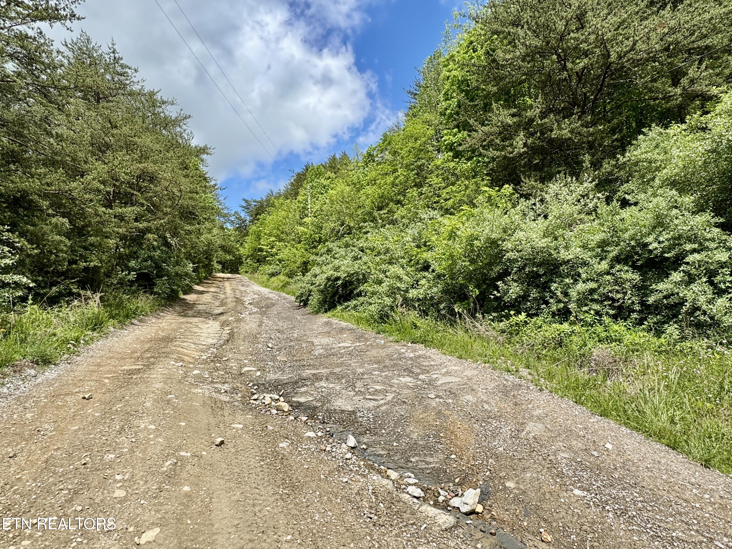 Old Kentucky Rd Property Photo 34