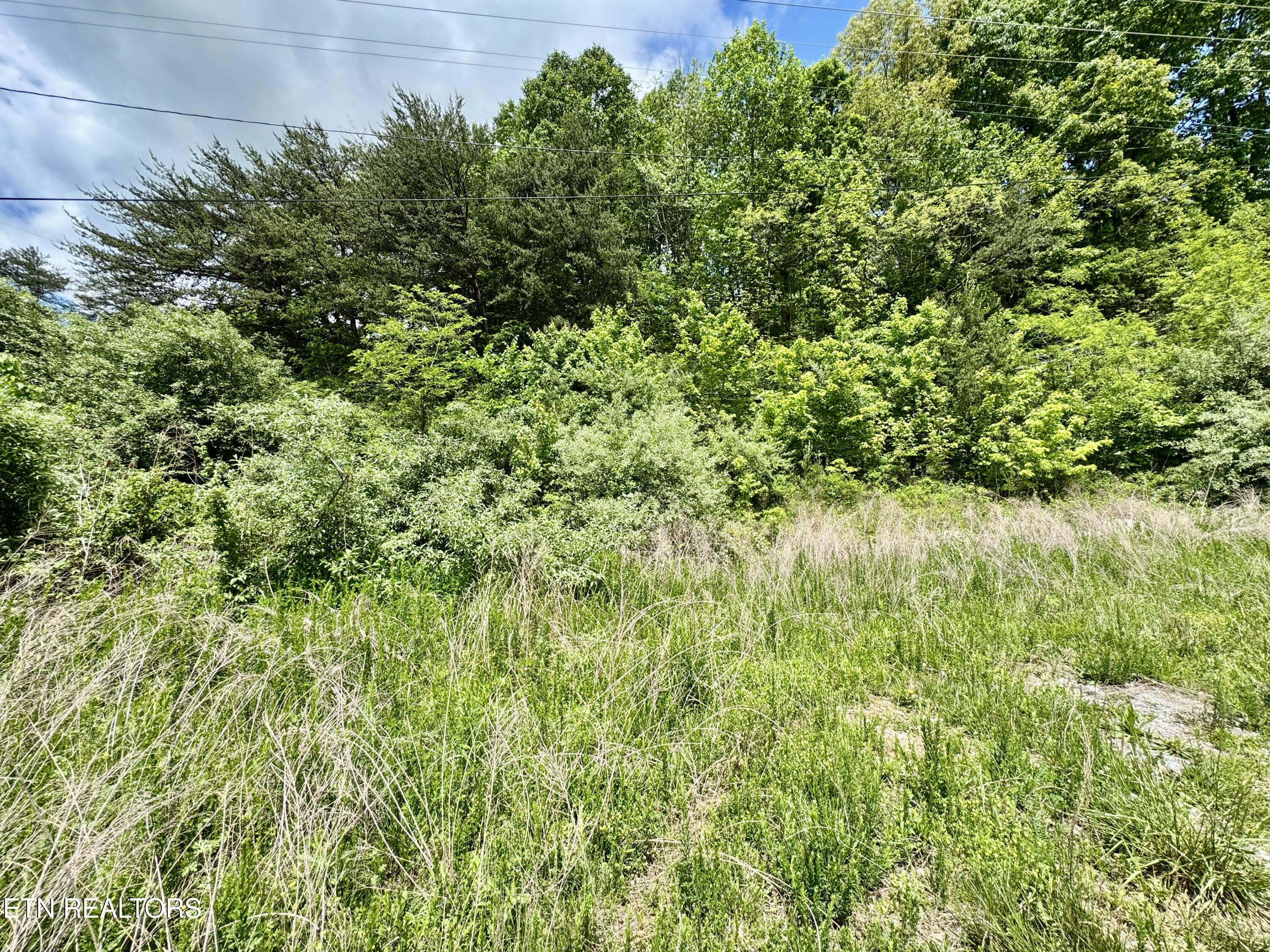 Old Kentucky Rd Property Photo 36