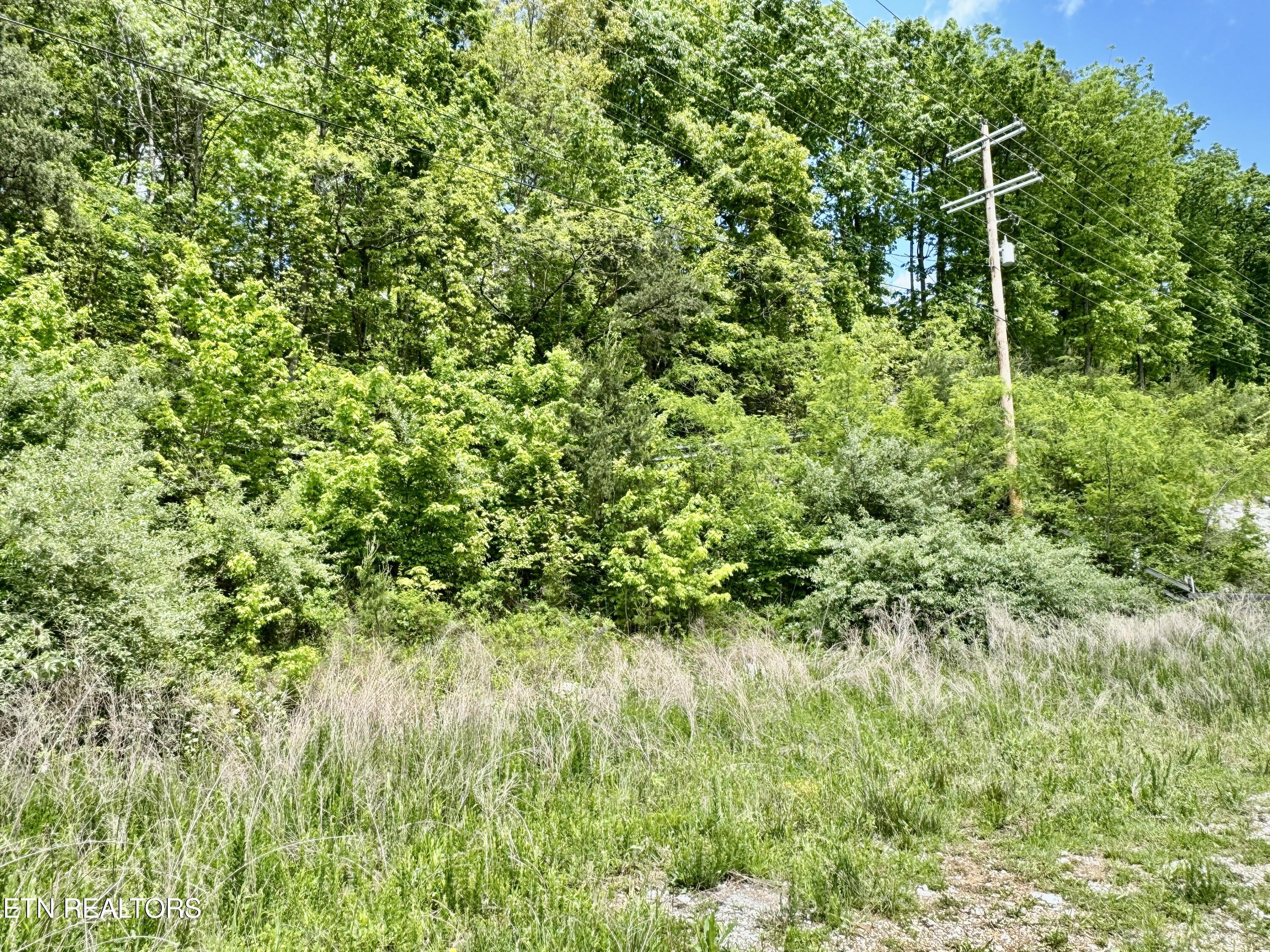 Old Kentucky Rd Property Photo 37