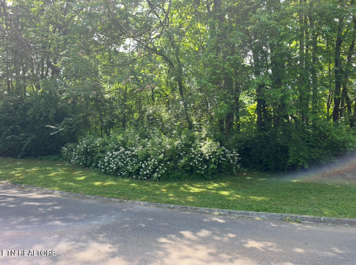 0 Burns Lane Property Photo 1