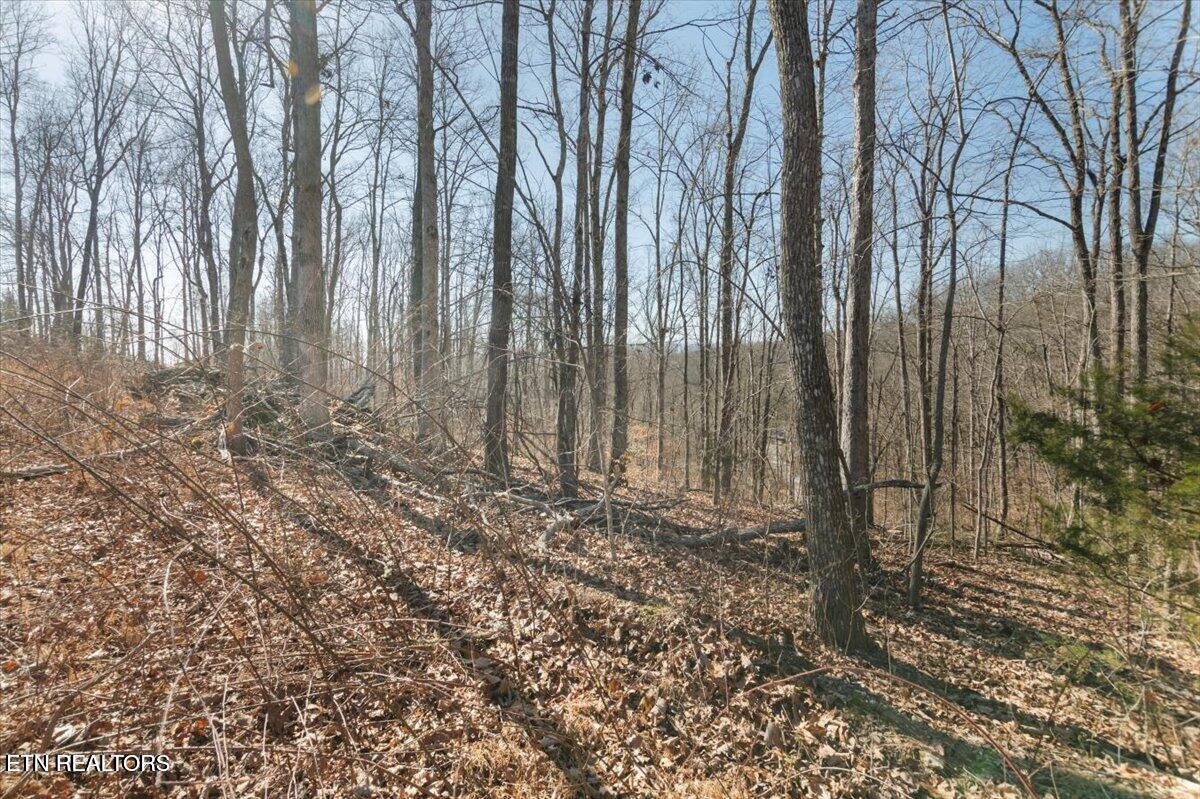 Lot 2 Camp Galilee Property Photo 2