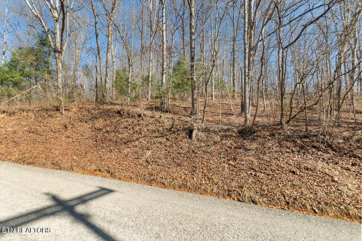 Lot 2 Camp Galilee Property Photo 3
