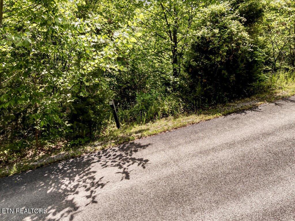 Lot 23 Emerald Pionte Blvd Property Photo 7