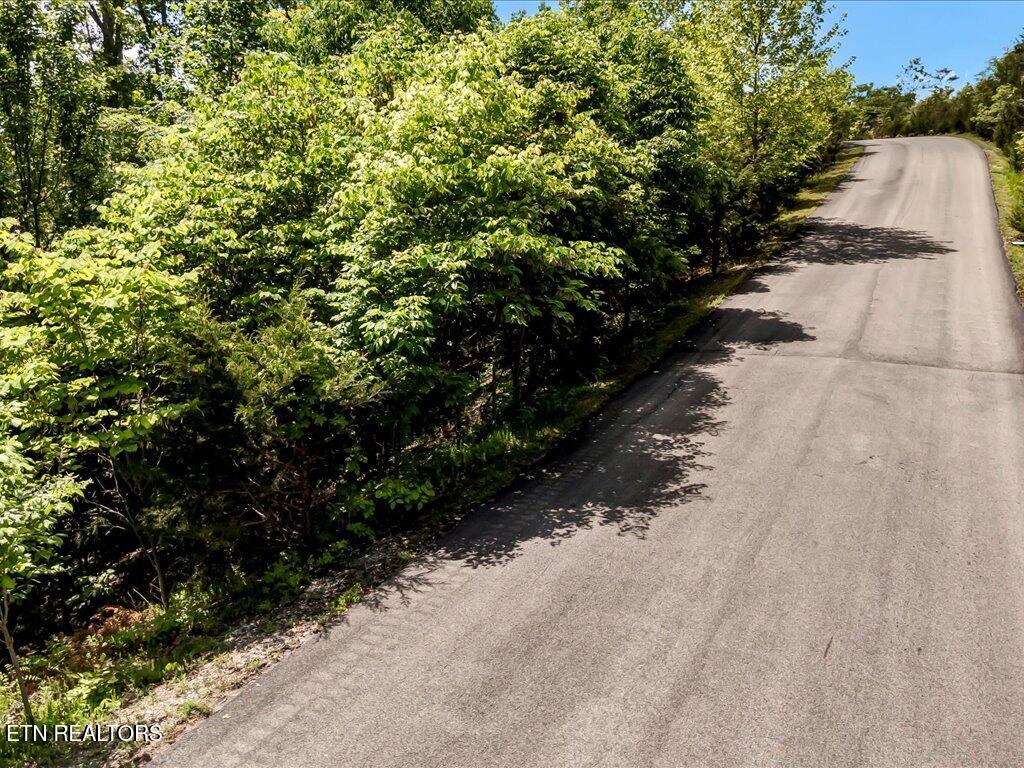 Lot 23 Emerald Pionte Blvd Property Photo 8