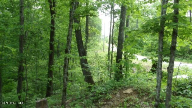 837 Rock Springs Rd Property Photo 15