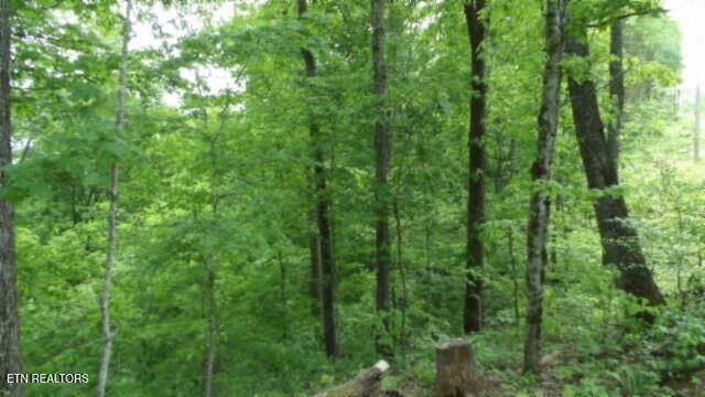 837 Rock Springs Rd Property Photo 16